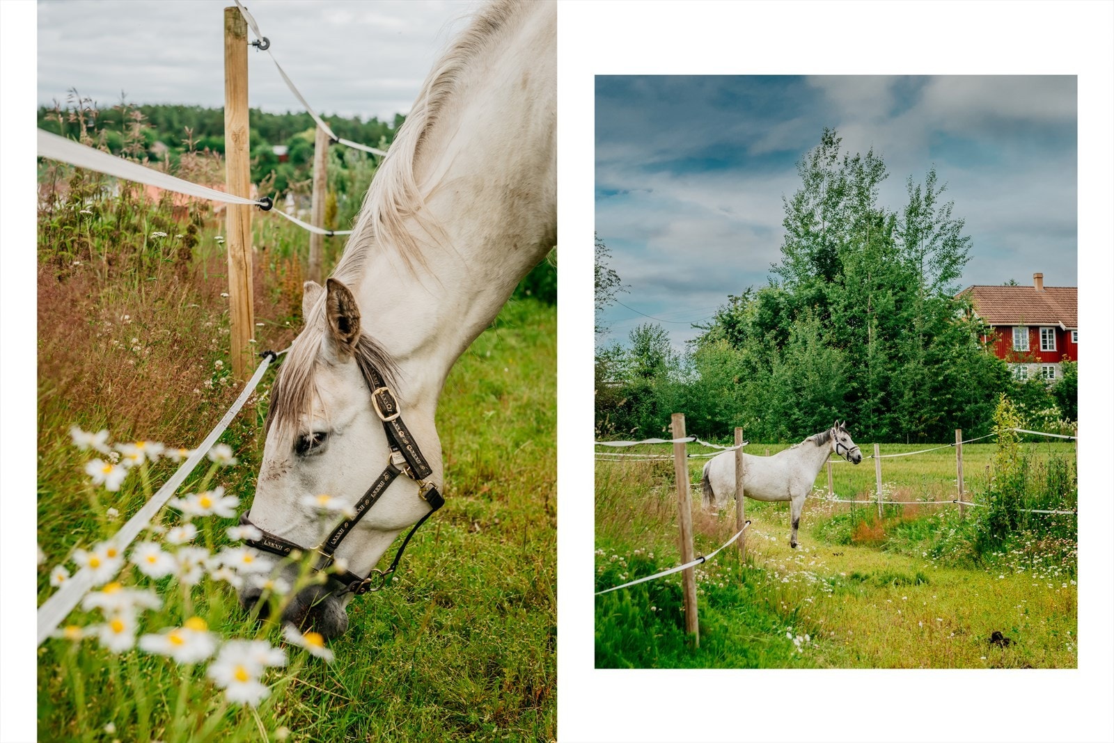 VELKOMMEN TIL ROVEVEIEN 11 OG 13 Galleribilde