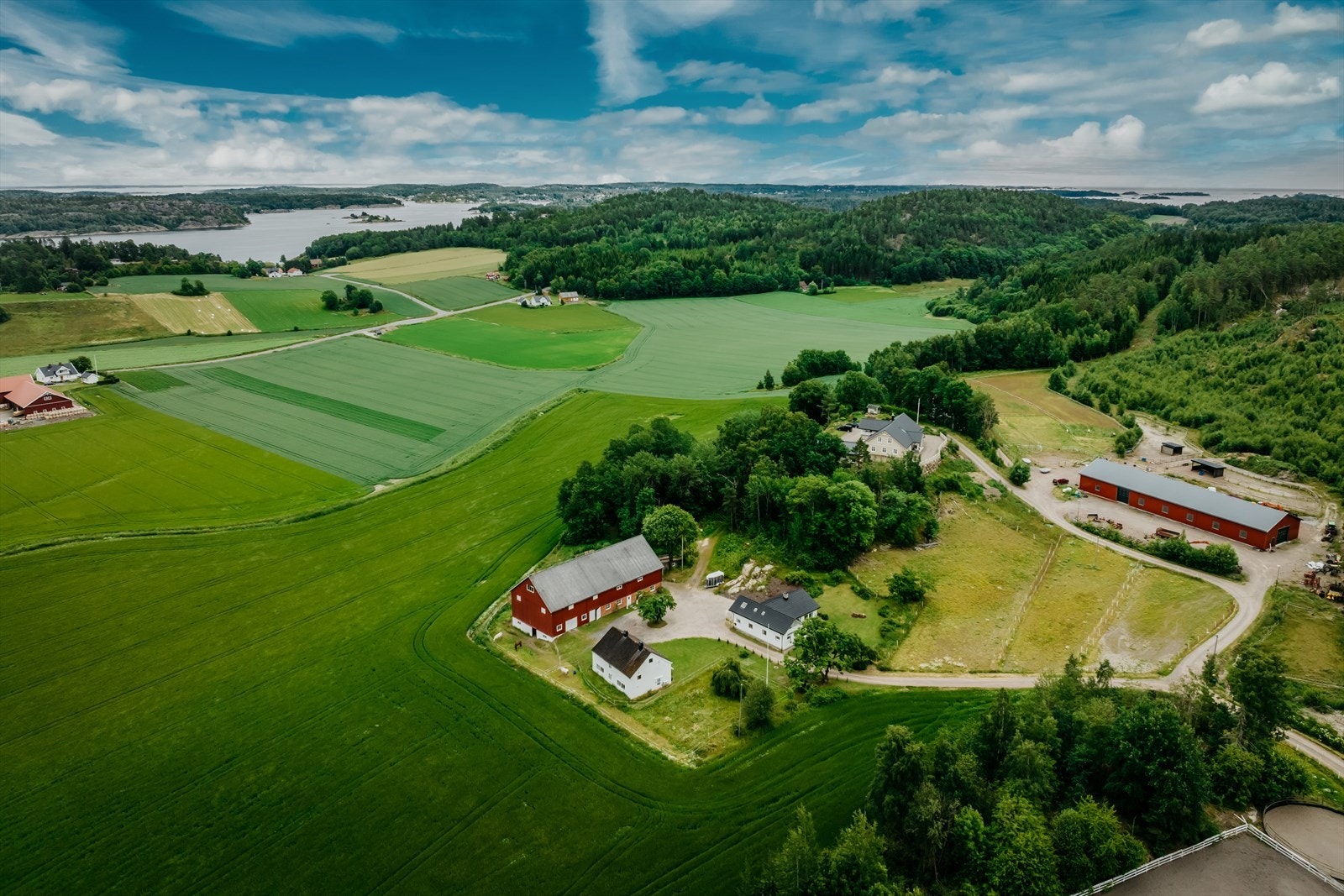 Velkommen til visning, her er det mye å se Galleribilde