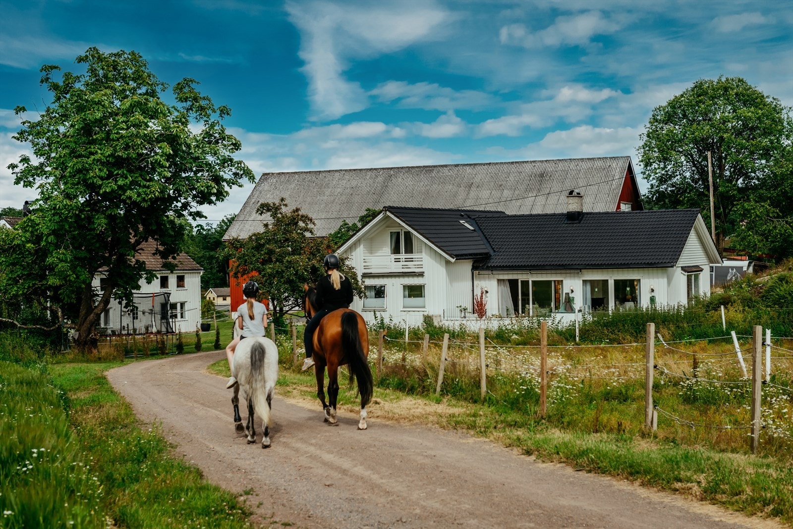 Eiendommen har en flott stall Galleribilde