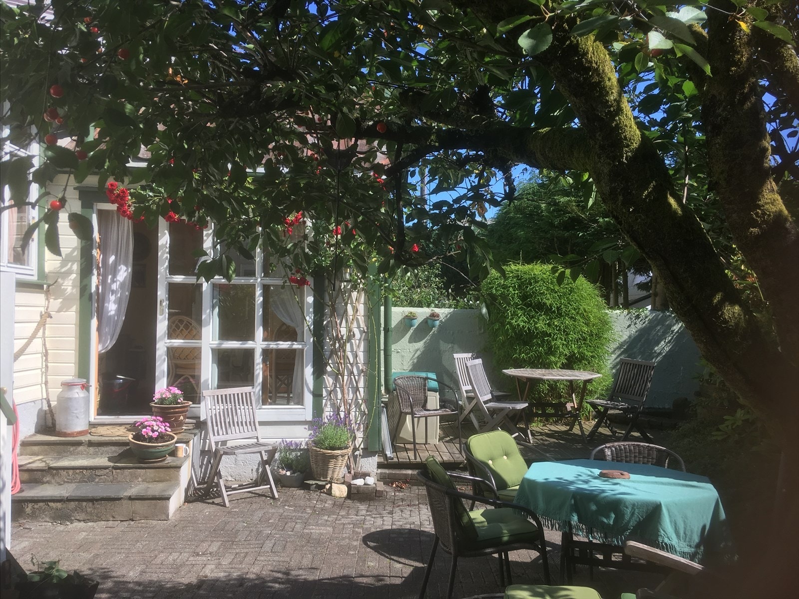 Private bilder. Galleribilde