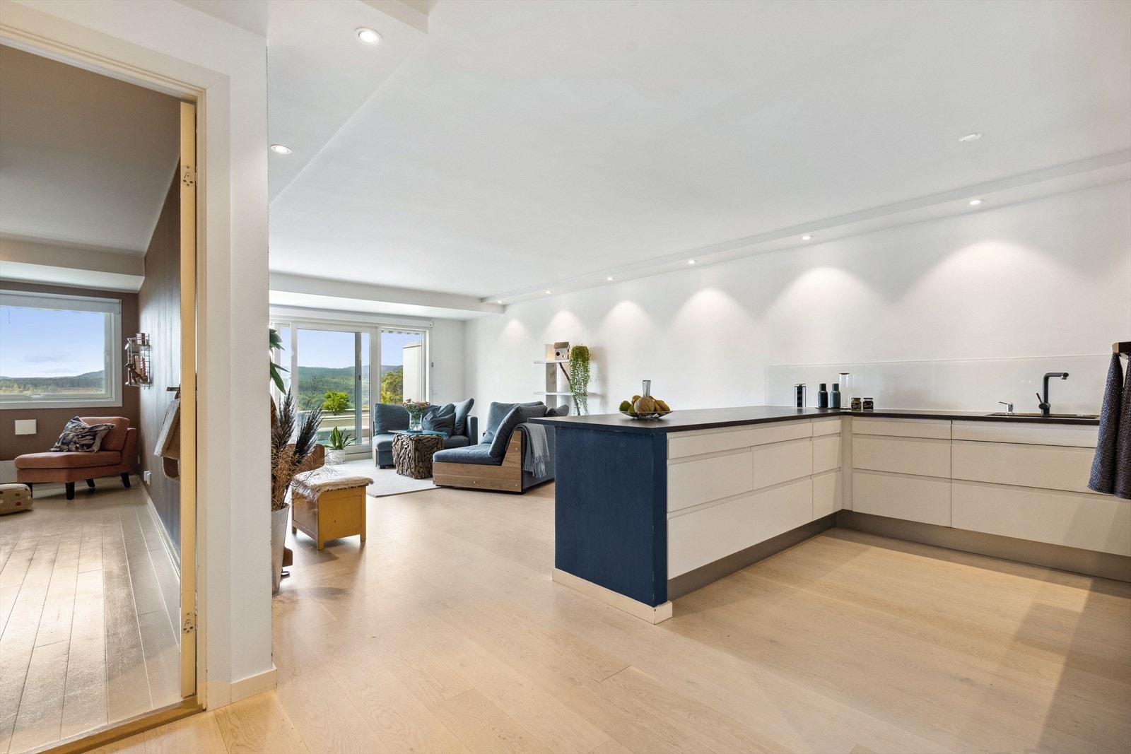 Stue/kjøkken. Galleribilde