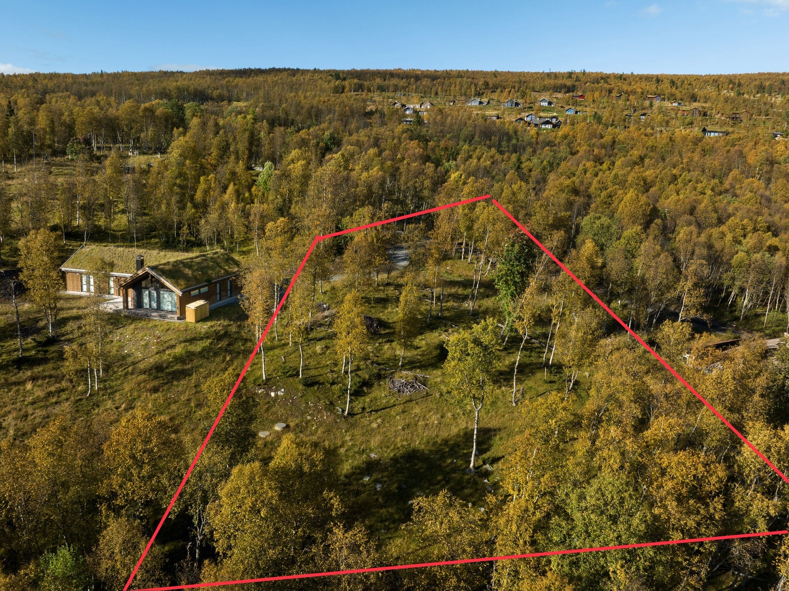 Flott tomt i et lunt og solrikt område på Geilo Galleribilde