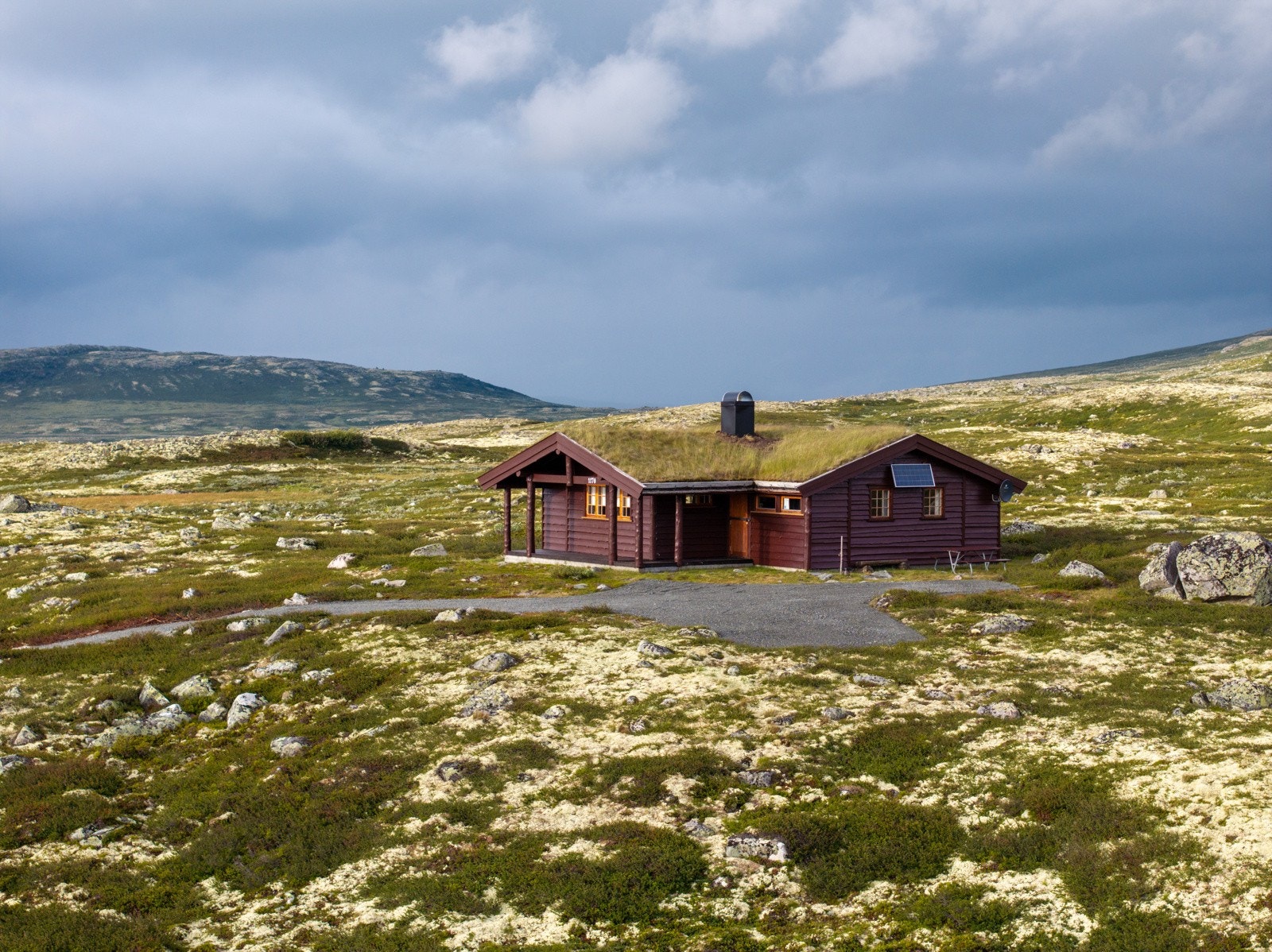 Vilt og vakkert! Galleribilde