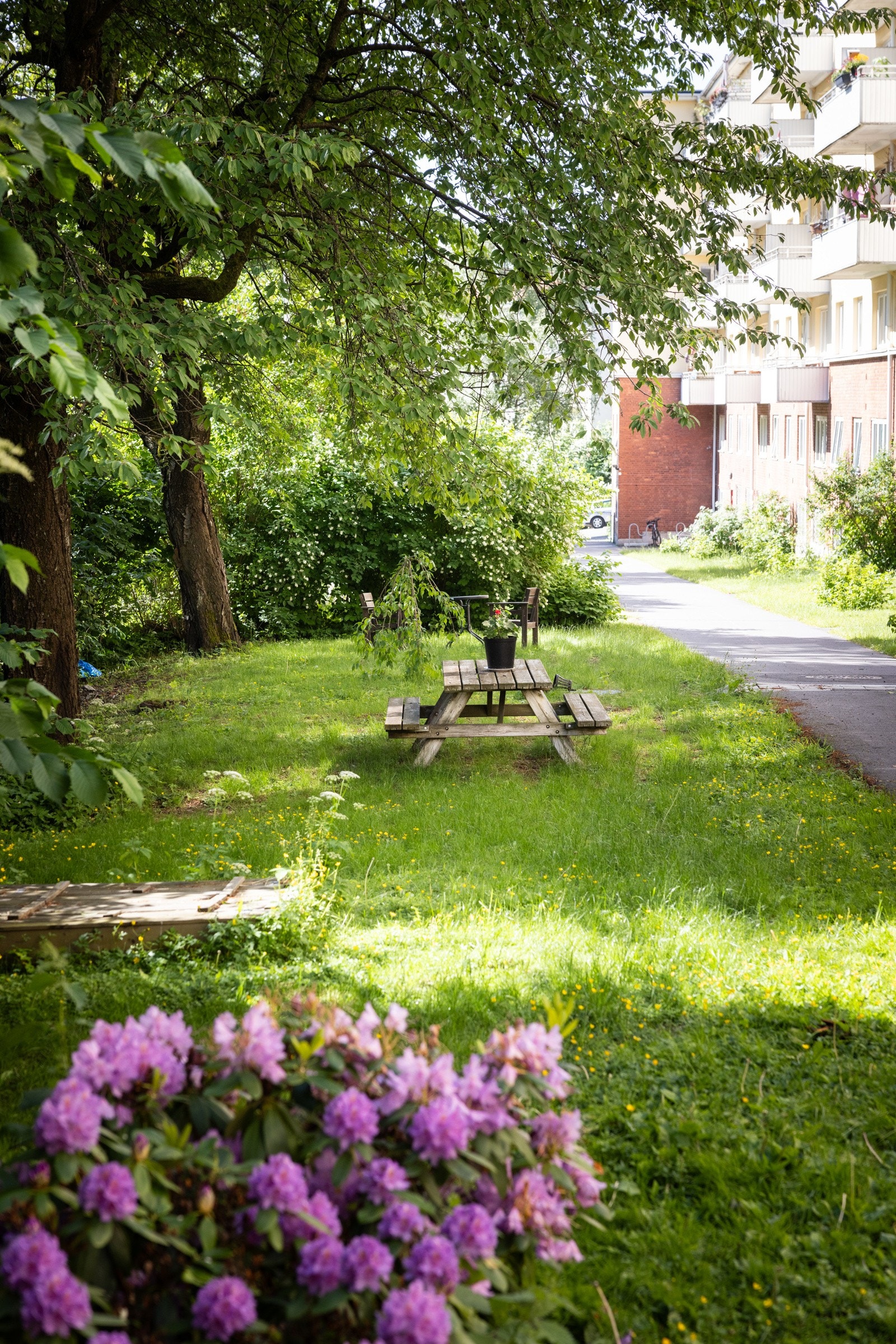 Hyggelige fellesområder med beplantning og sittegrupper. Galleribilde