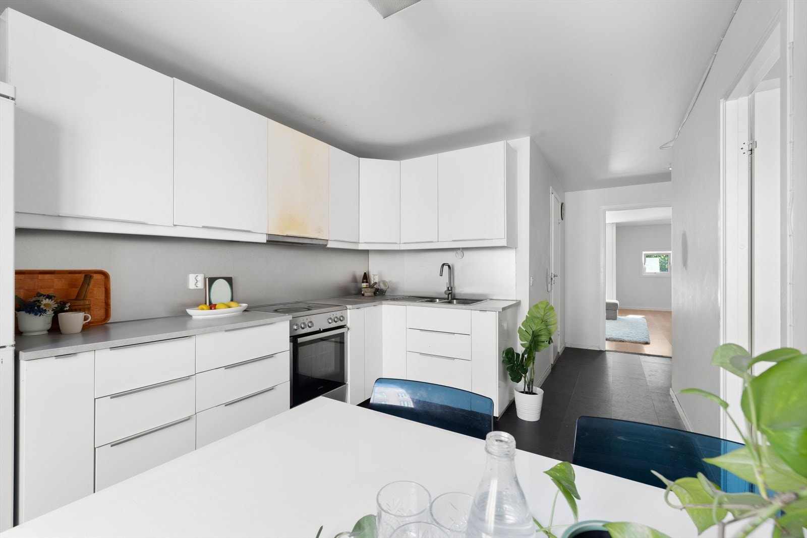Kjøkkenet er utstyrt med kullfilterventilator. Galleribilde