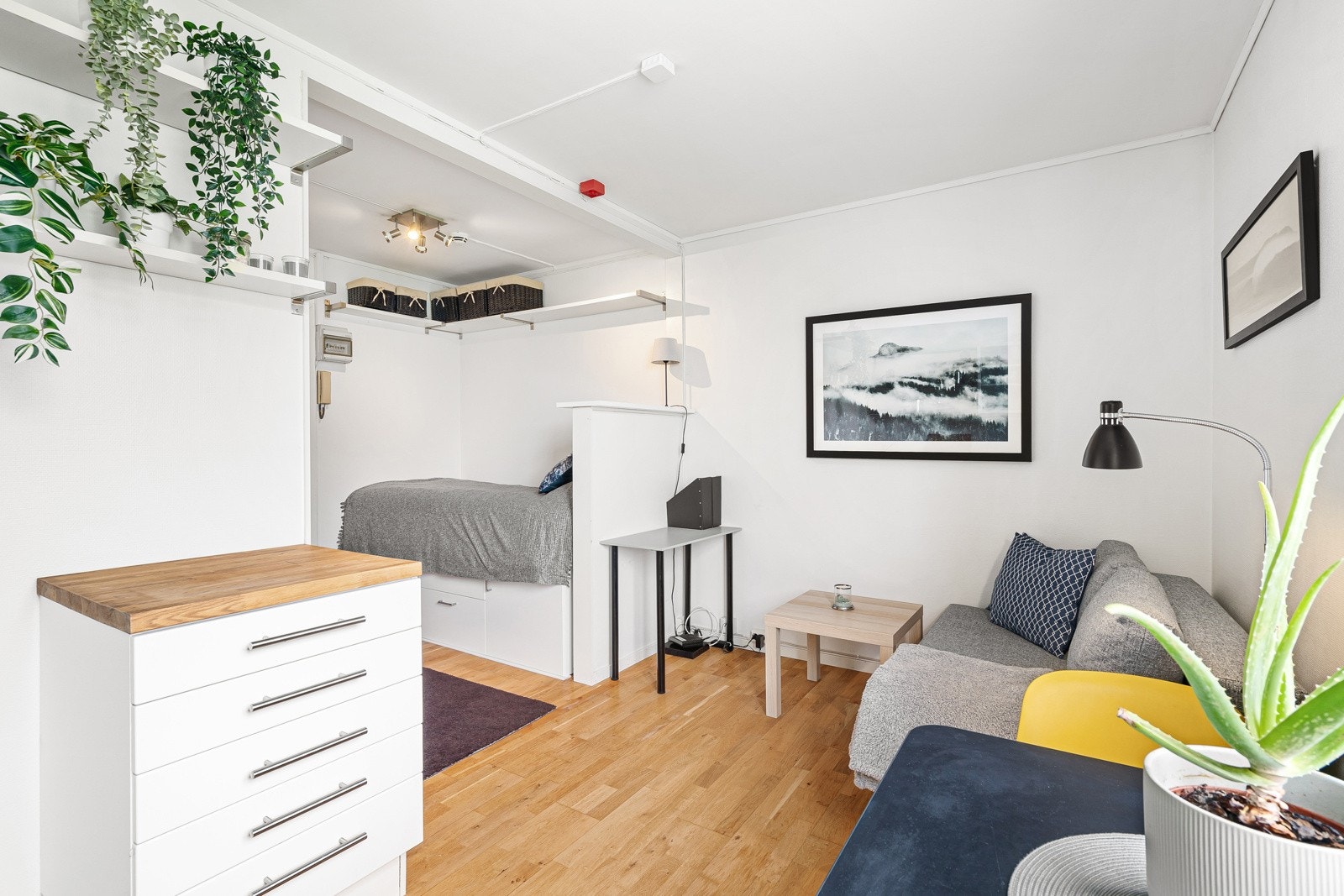 Gulvflatene i leiligheten er av parkett, med en universal farge som passer alle slags interiør - og fargevalg ellers. Galleribilde