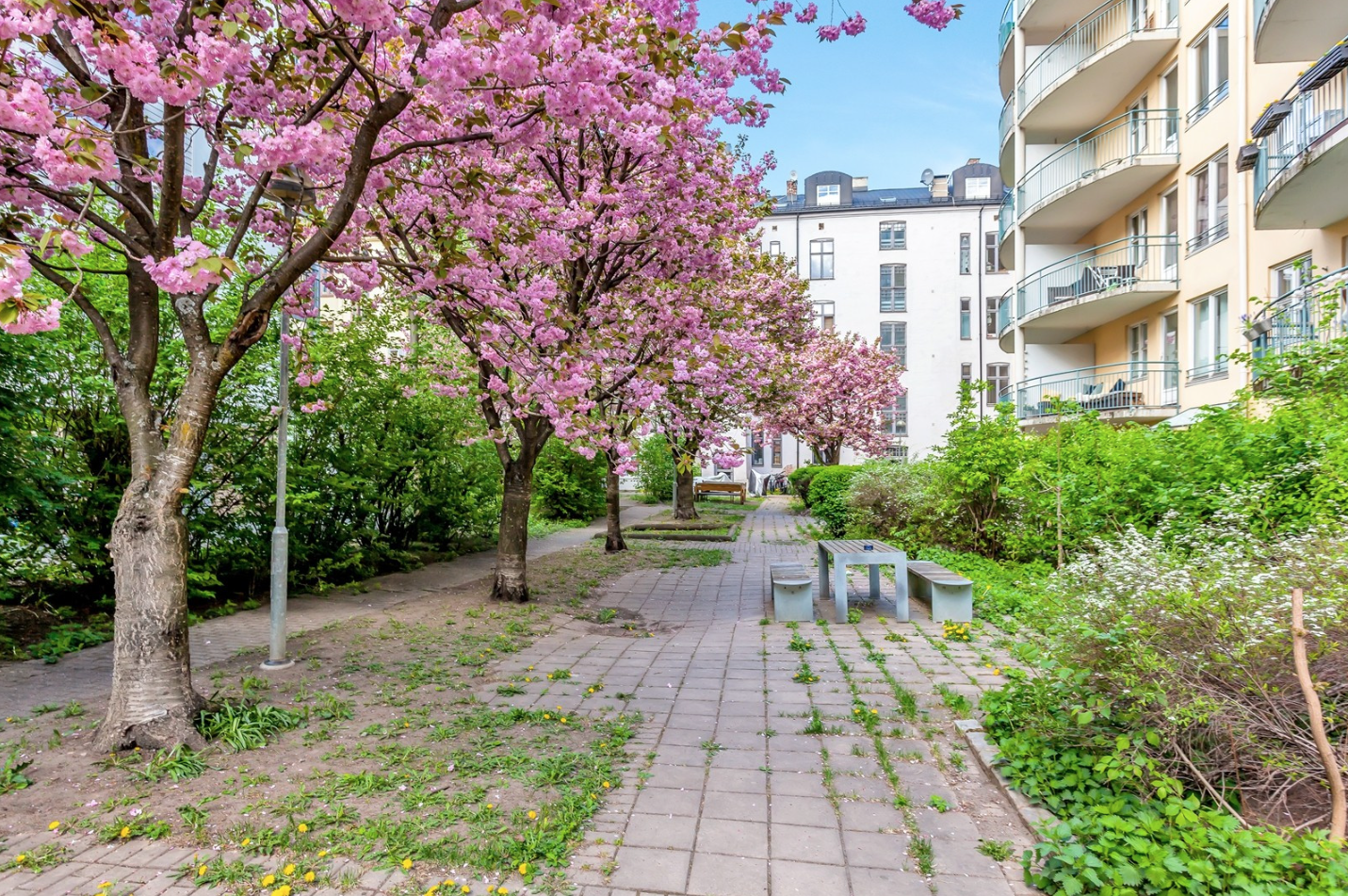 Bakgården har flotte grøntområder og sittebenker. Galleribilde
