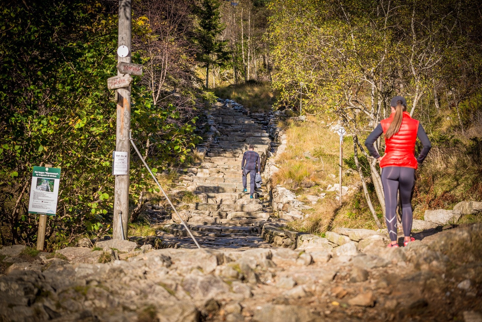 Fra leiligheten tar det 10-15 minutter opp til flott sti opp til Ulriken. Galleribilde