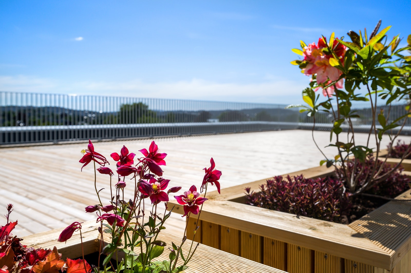 Takterrasse Galleribilde
