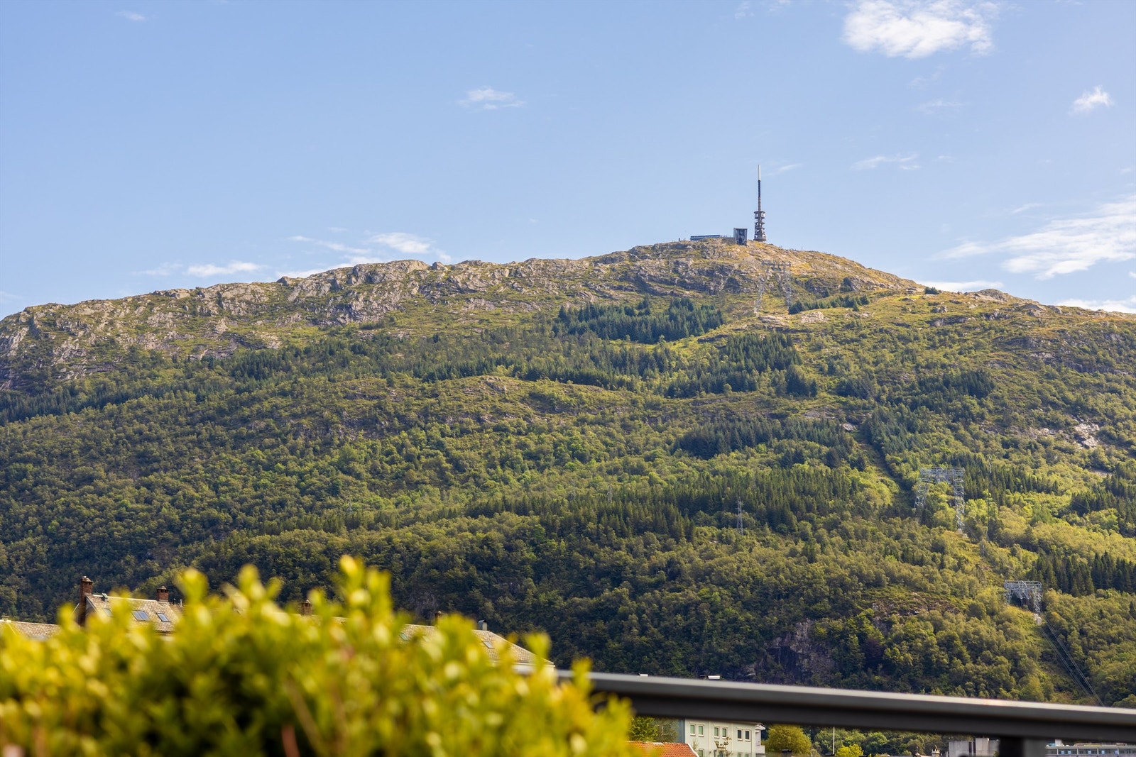 Ulriken Galleribilde
