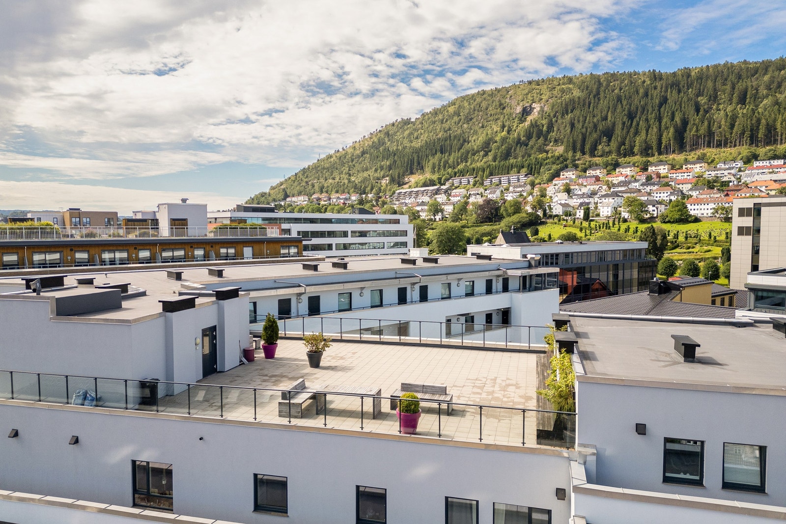 Oversikt over felles takterrasse Galleribilde