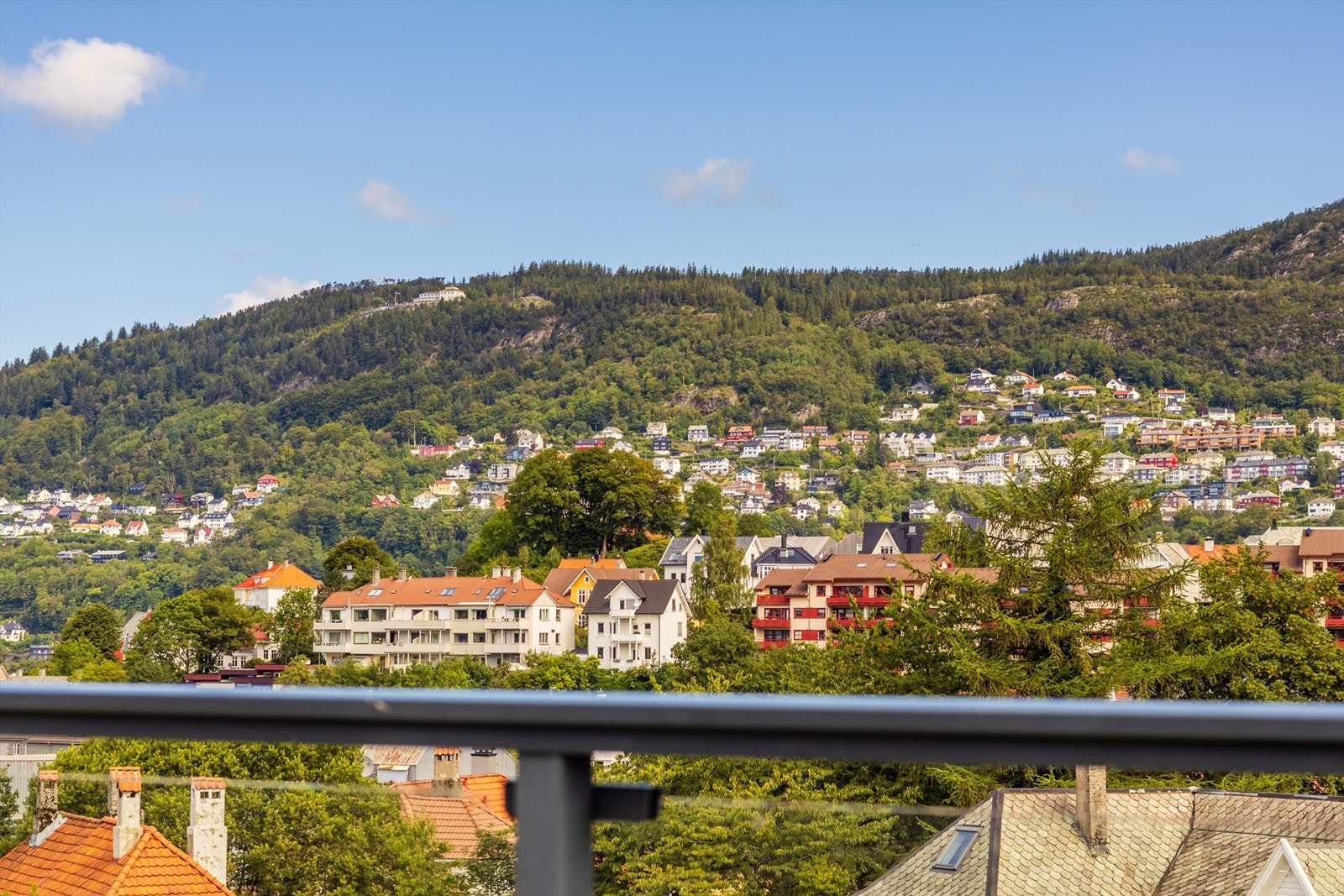 og Fløien Galleribilde