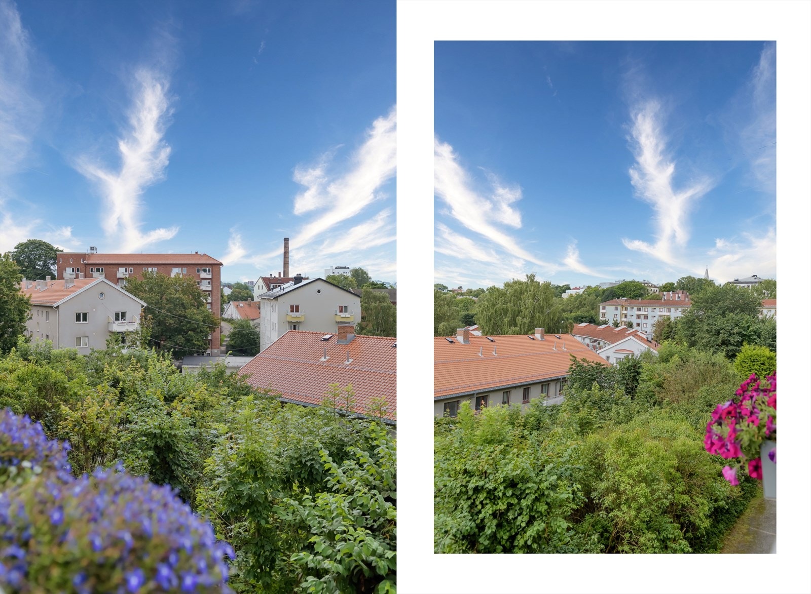 Nyt late sommerdager og utsikten herfra! Galleribilde