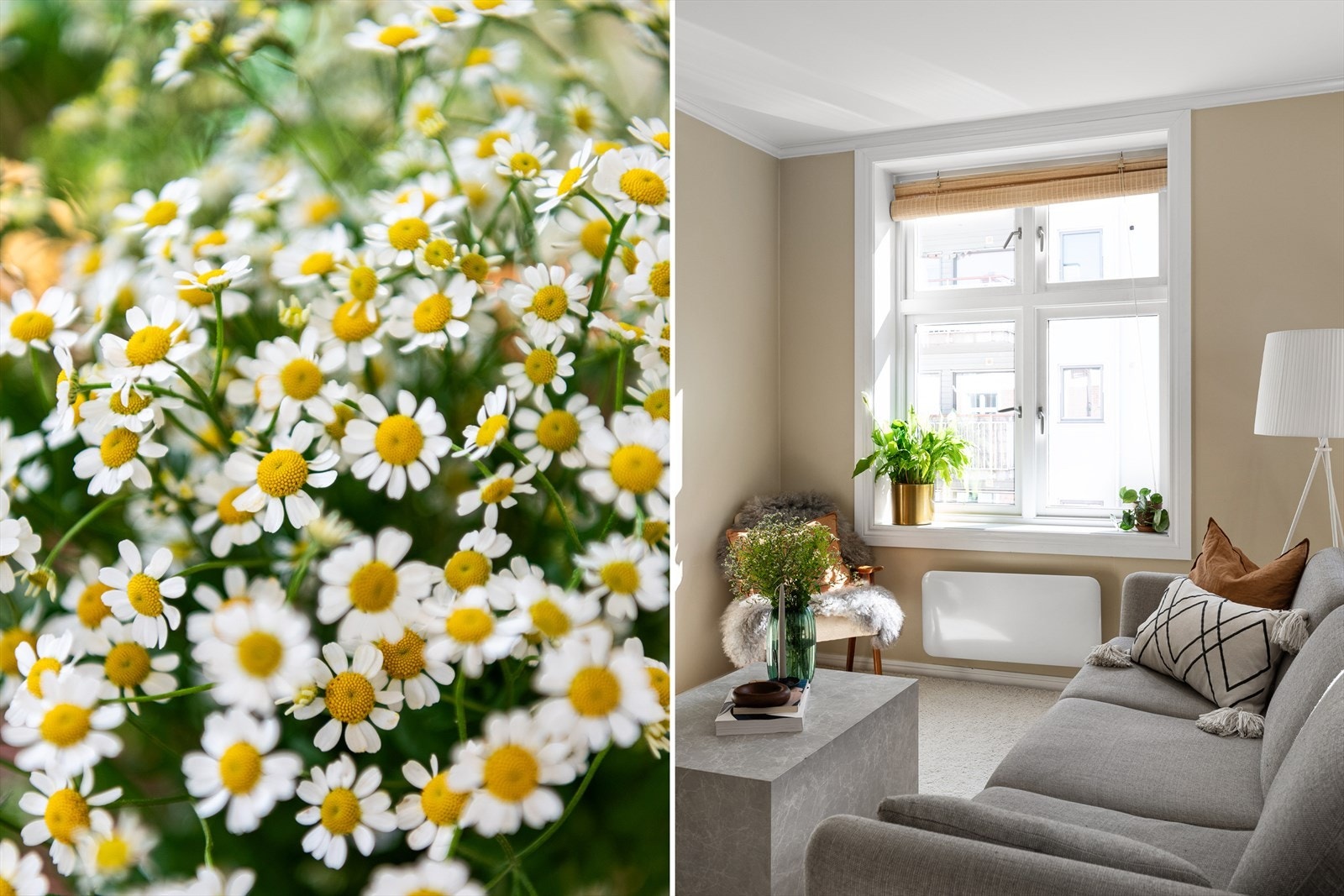 Skap deilig sommerfølelse innendørs med vakre buketter av markblomster. Galleribilde