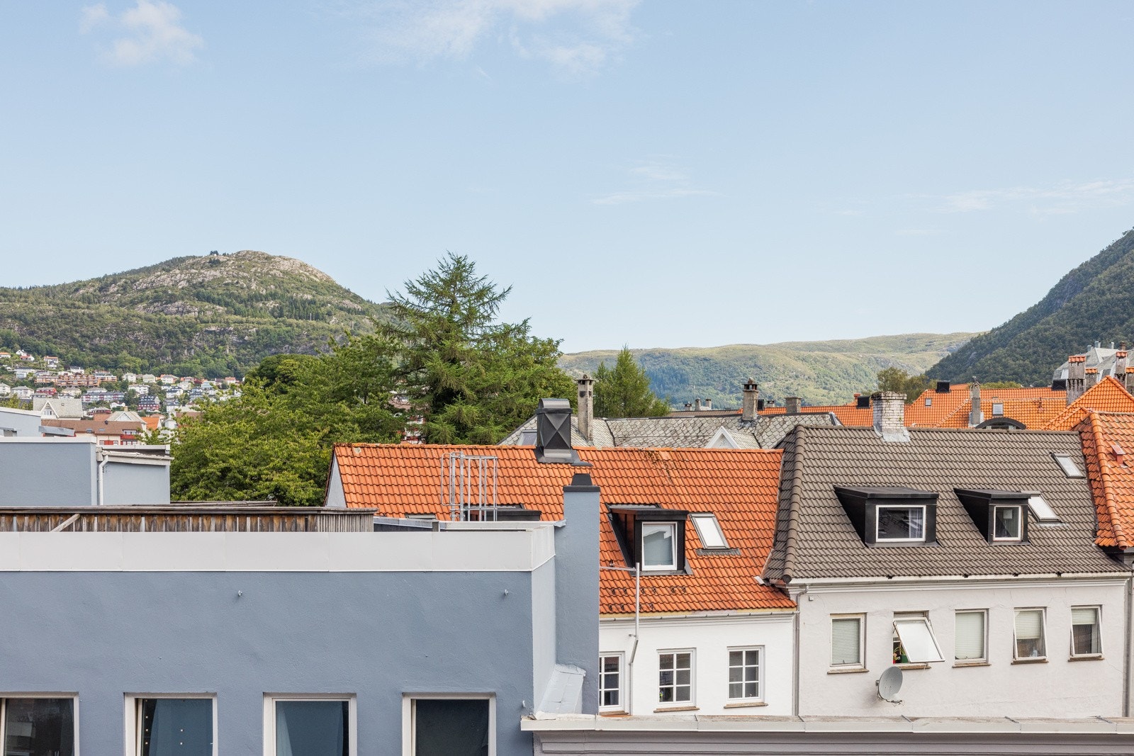Utsikt fra stuevindu. Galleribilde