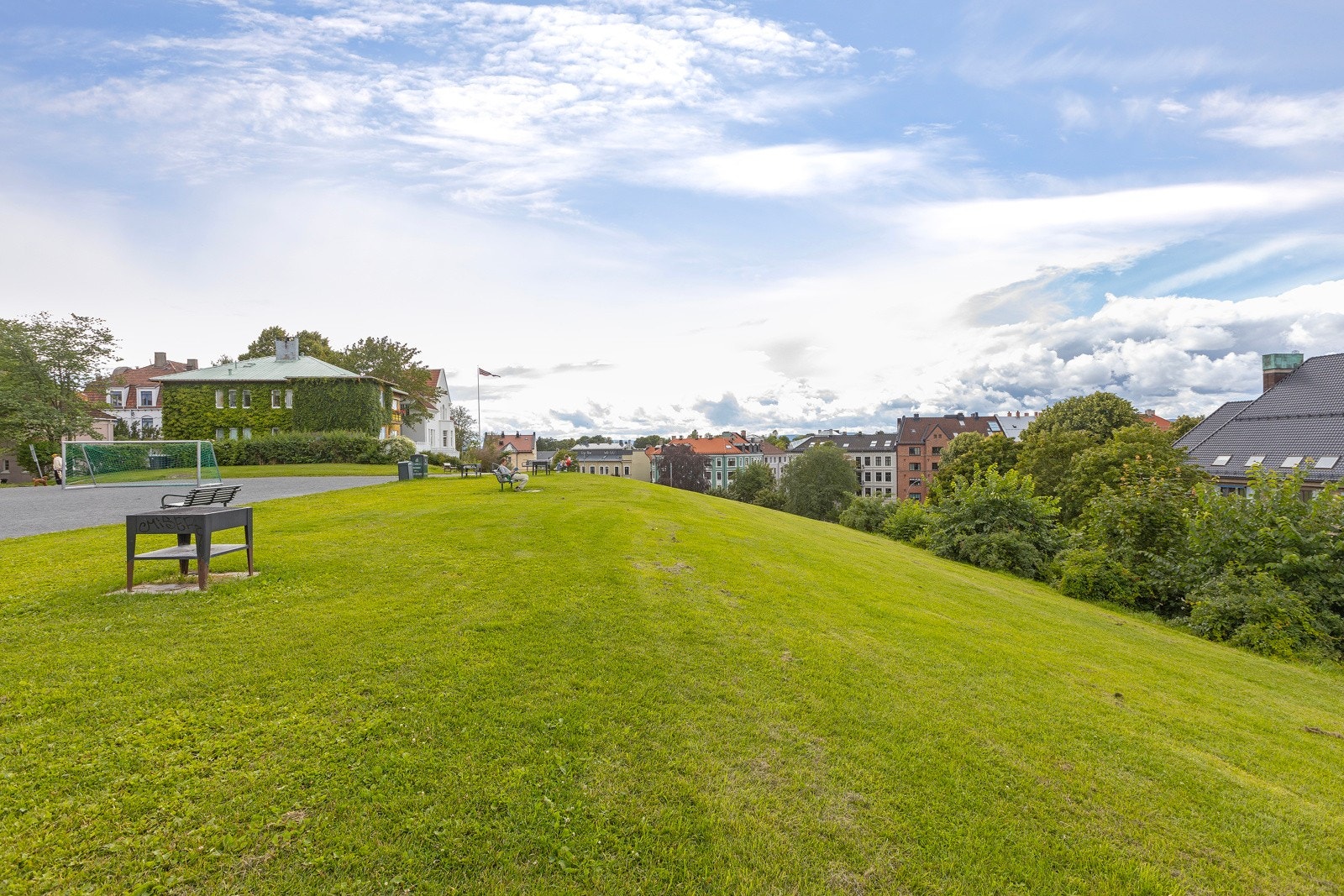 "Idioten" er et parkmessig friområde på Valleløkken, nær Adamstuen. Galleribilde