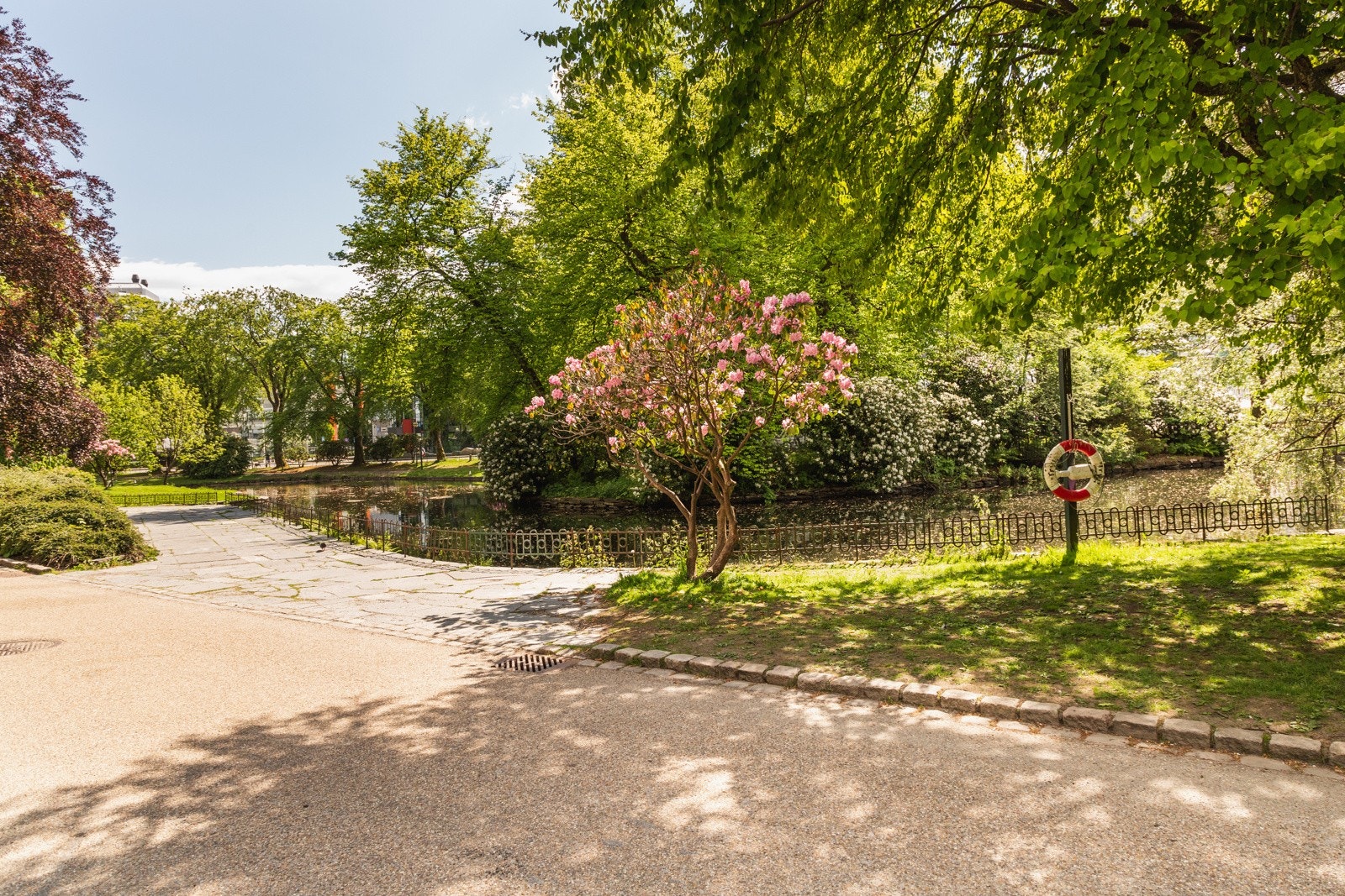 Nygårsparken er en populær destinasjon på solrike dager. Galleribilde