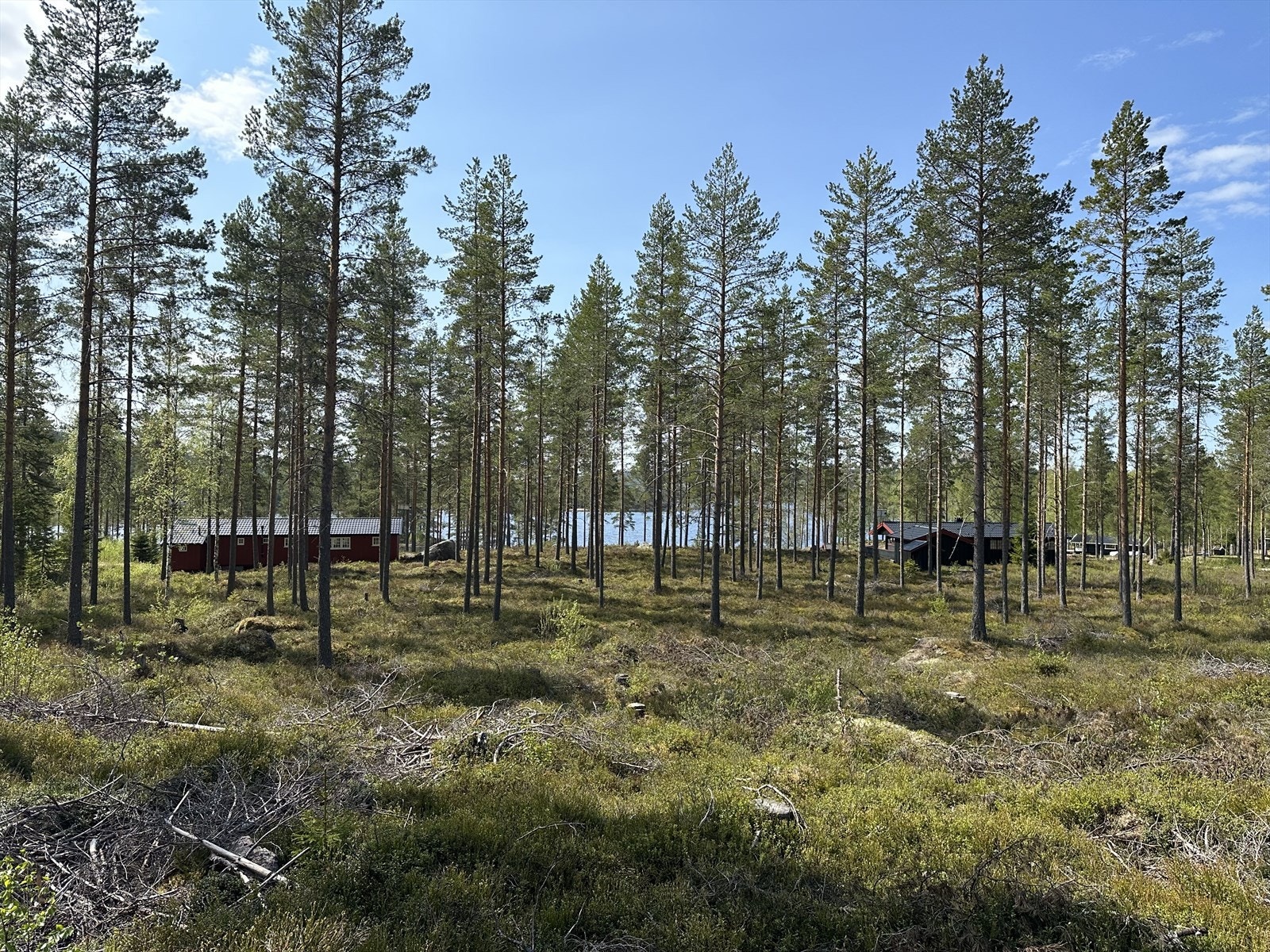 Utsikt fra tomten. Galleribilde