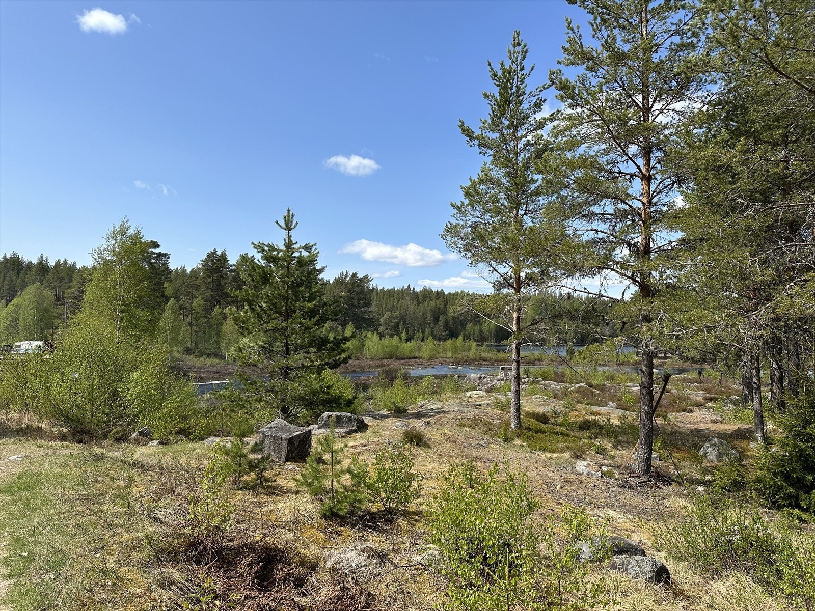 Fra nærområdet ved tomten. Galleribilde