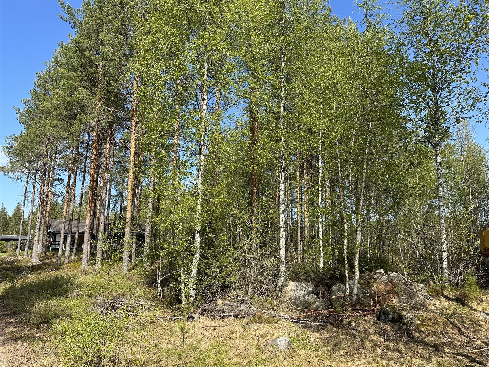 Tomten består for det meste av naturtomt. Galleribilde