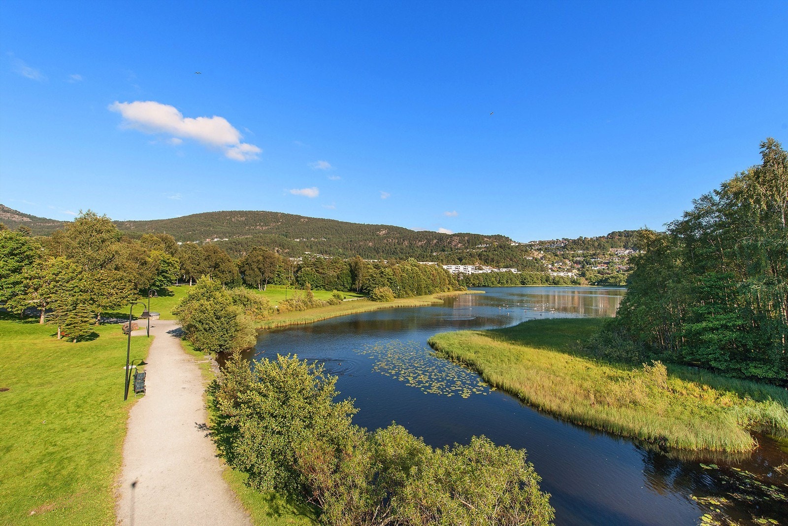 Ortuvannet Galleribilde