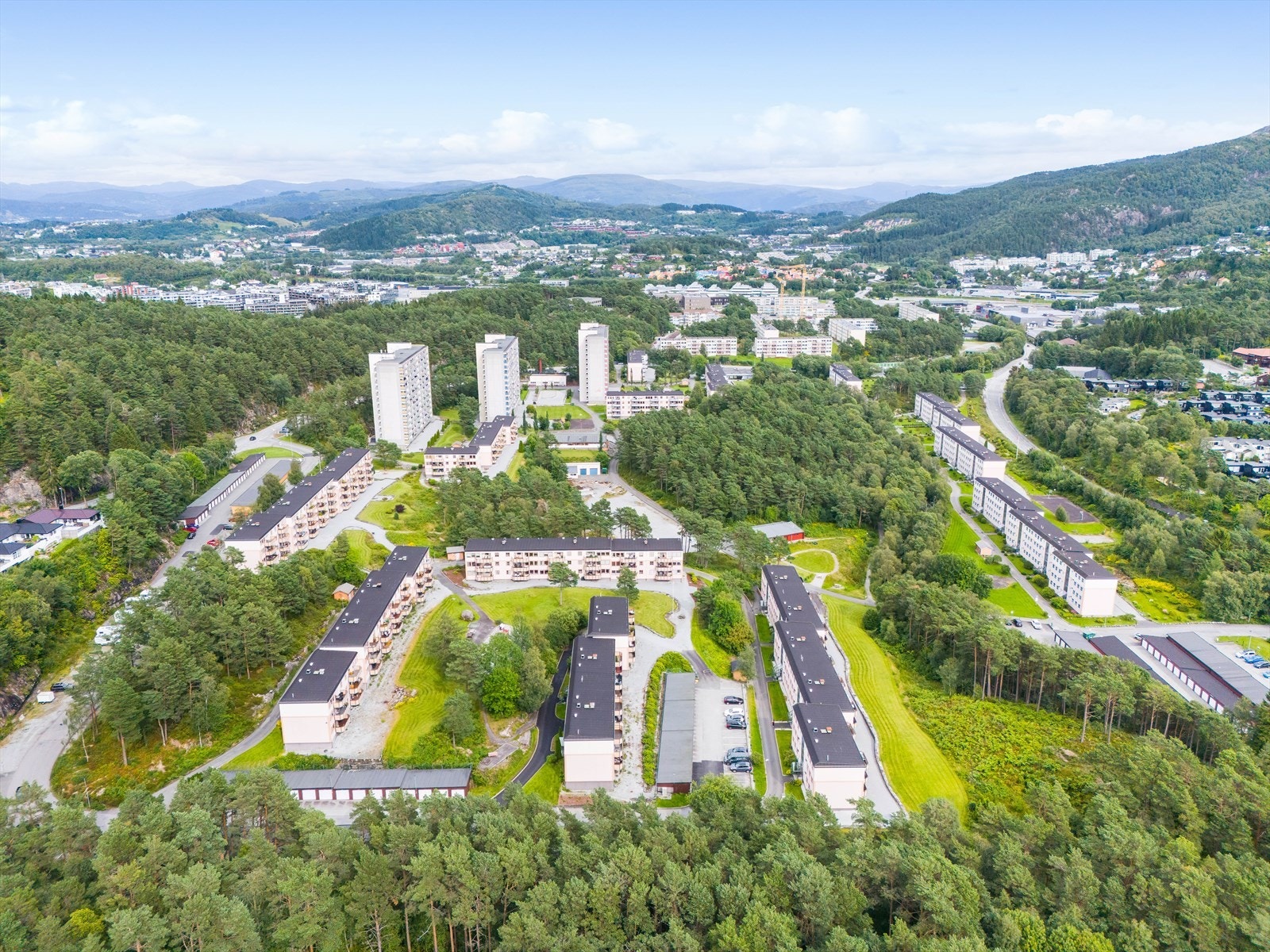 Flott område med mye skog og natur. Fokus på godt hold og godt bomiljø. Galleribilde