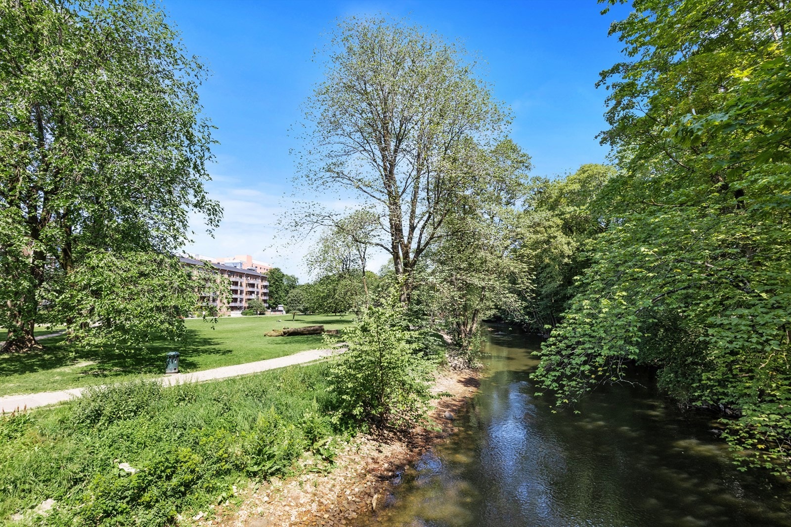 Stor park med gangstier og grøntområder. Galleribilde