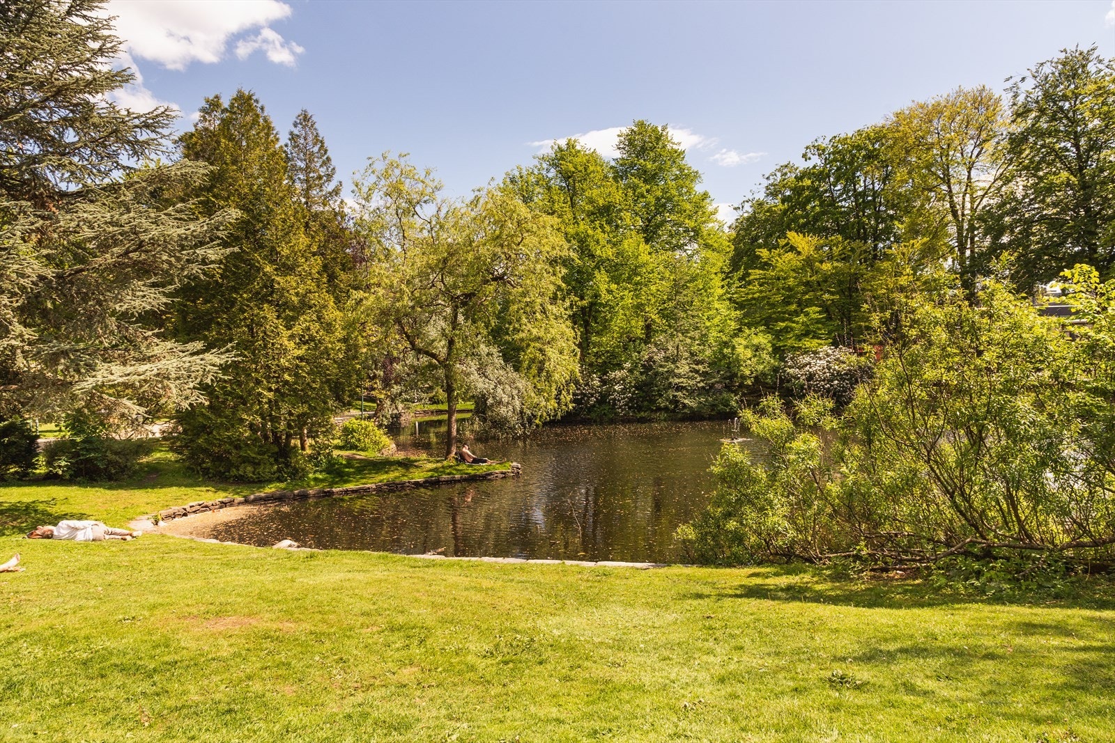 I tillegg til flere studieinstitusjoner og et av bykjernens beste rekreasjonsområder - Nygårdsparken. Galleribilde