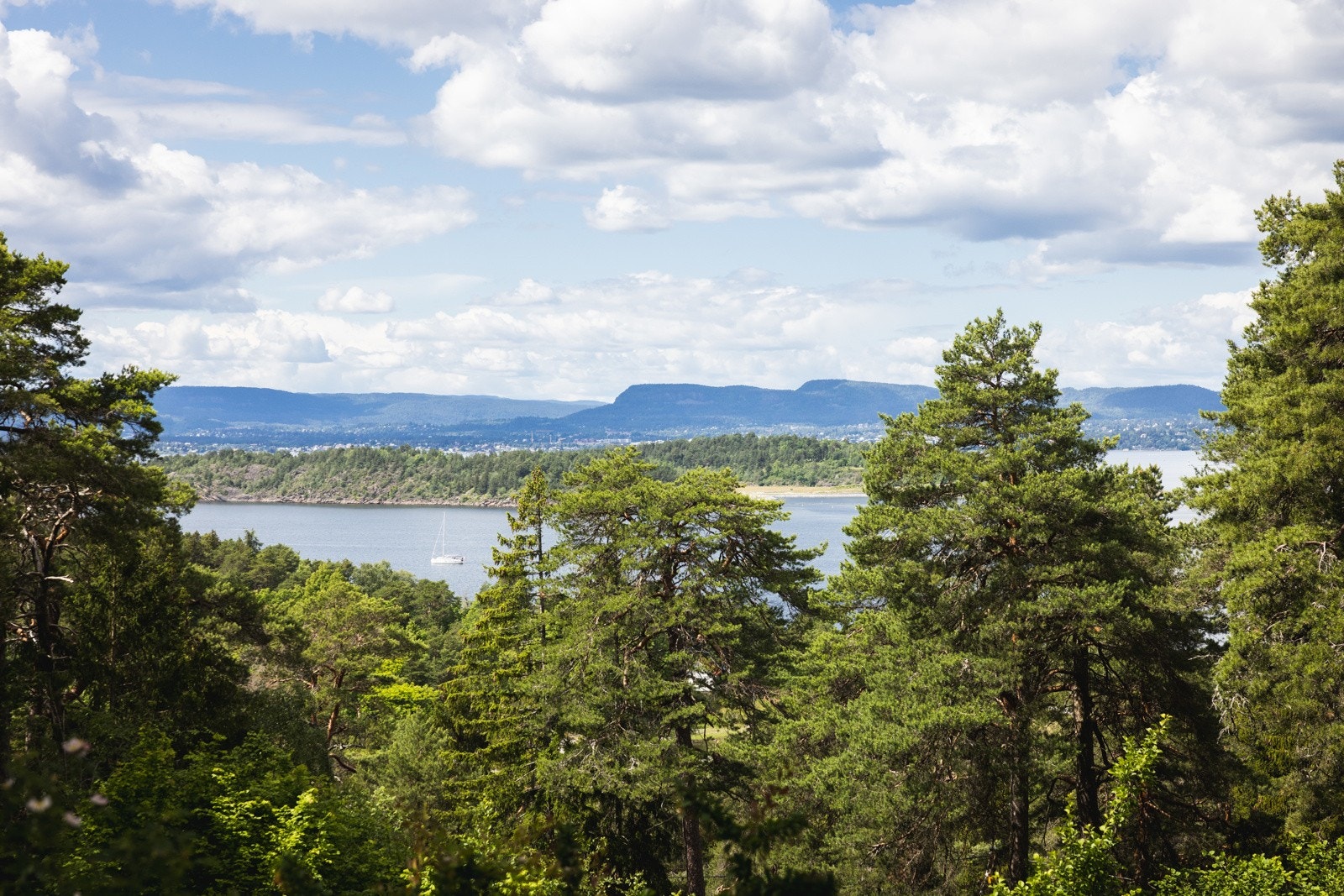 Fra takterrassen kan man beundre en imponerende utsikt over Oslofjorden. Galleribilde