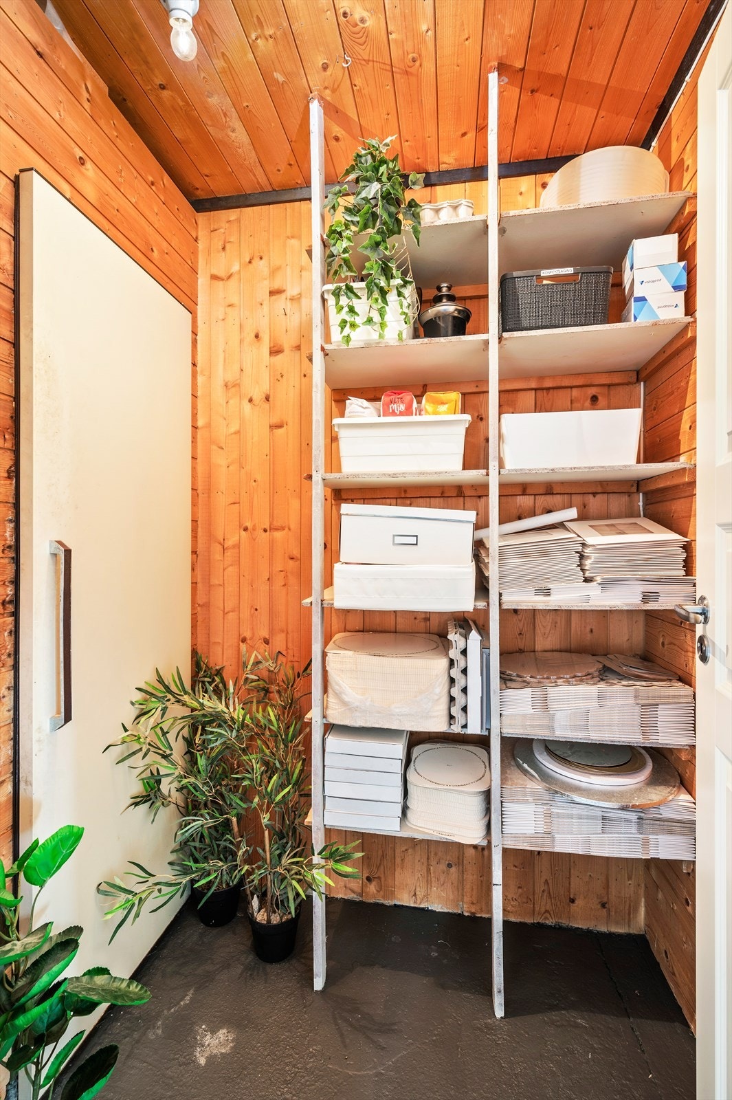 Kjølerom i underetasjen. Galleribilde