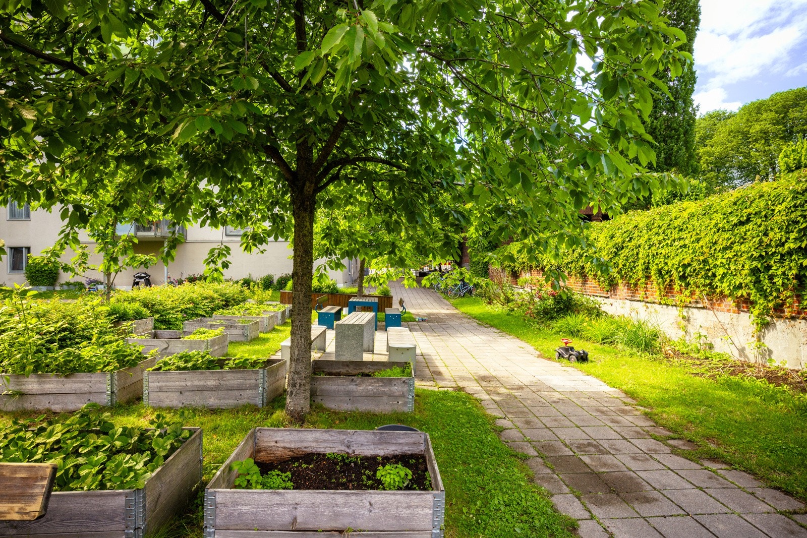 Det er felles takterrasse i Sofies Hage med fantastiske solforhold og hyggelige sittegrupper. Galleribilde