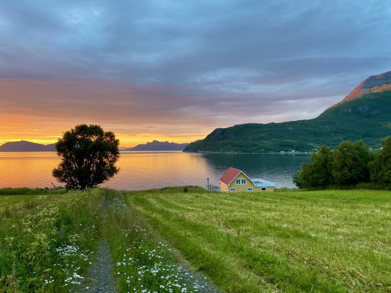 Utsikt ned mot naust og fjorden. Galleribilde