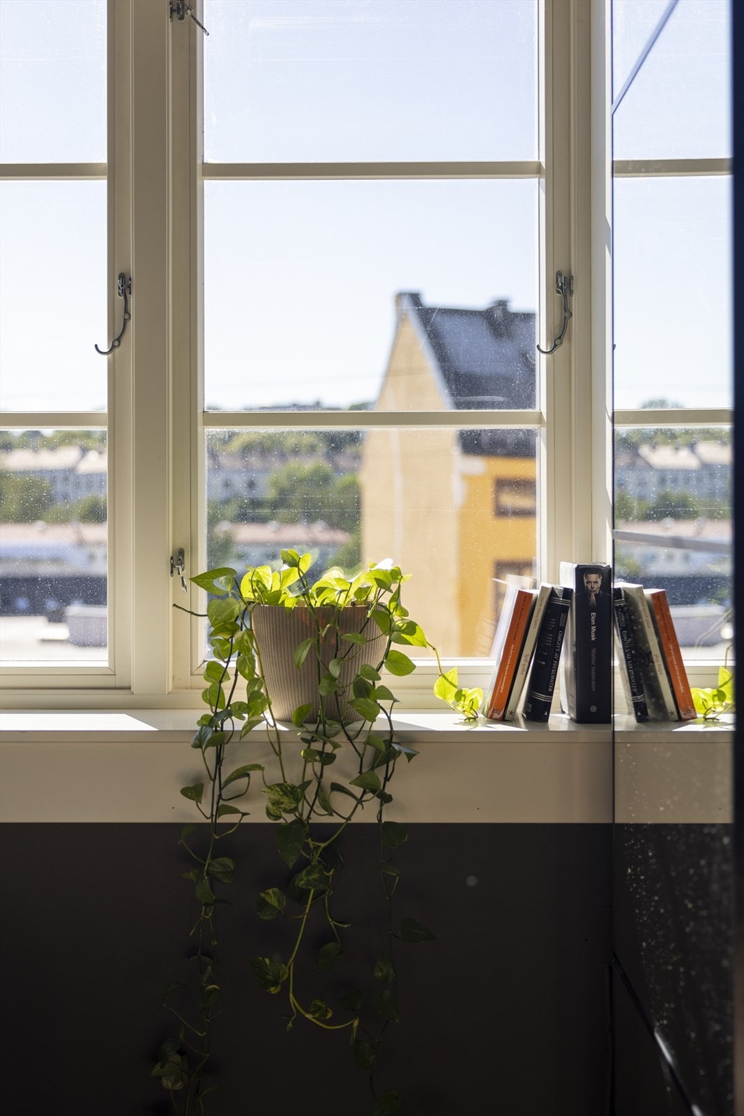 Fri utsikt mot Iladalen og Ilaparken. Galleribilde