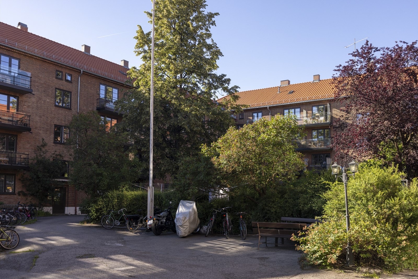 Behovet for balkong er mindre når man har denne frodige bakgården rett utenfor døra. Galleribilde