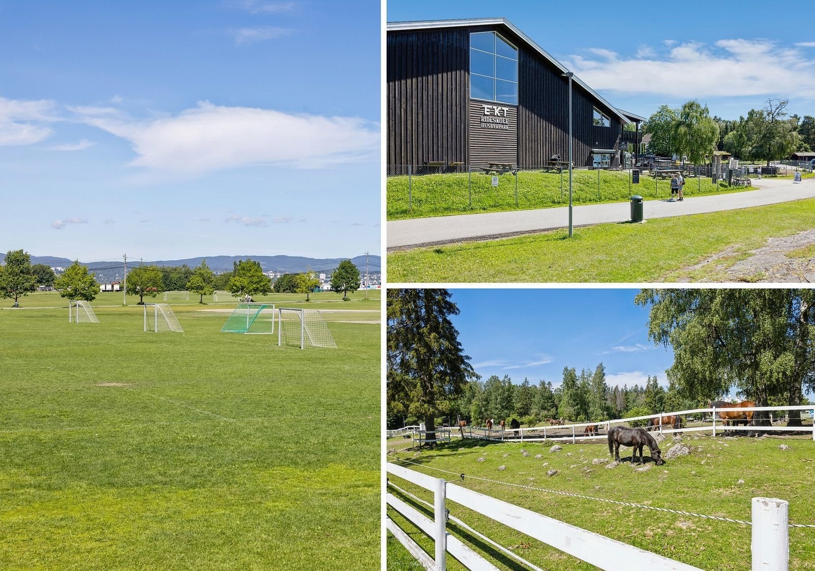 En fin spasertur eller sykkeltur tar deg til Ekebergsletta med minigolf, EKT-ridesenter, fotballbaner, akebakke mm. Galleribilde