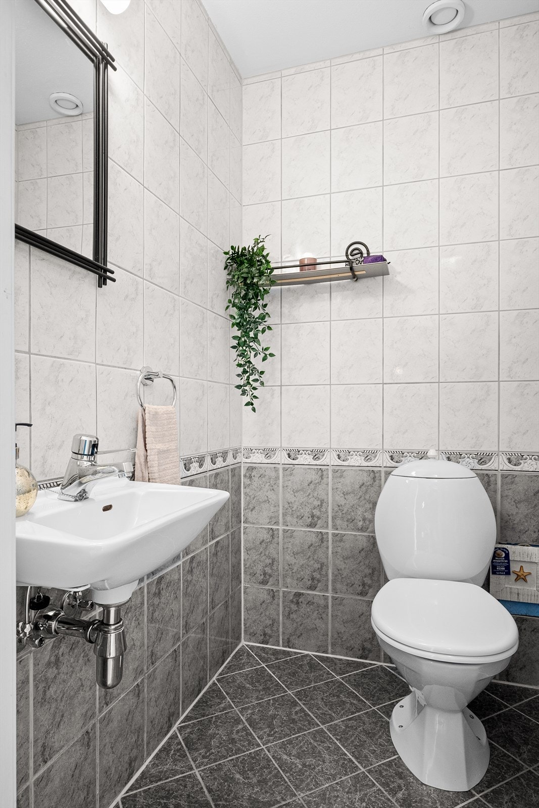 Helfliset gjestetoalett fra 2004. Galleribilde