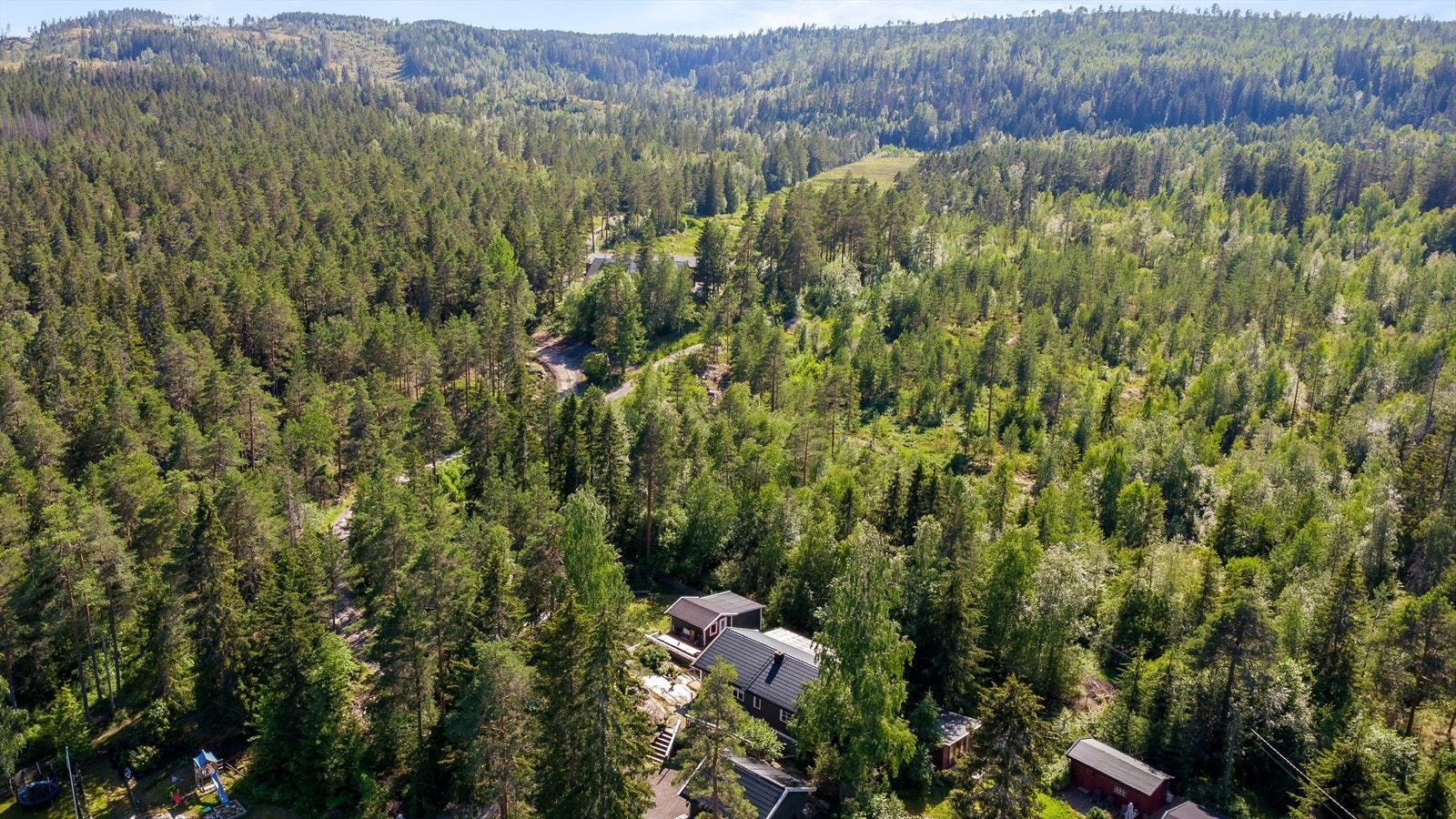 Skogene rundt kommunen er perfekte for bærplukking og skogsturer året rundt. Galleribilde