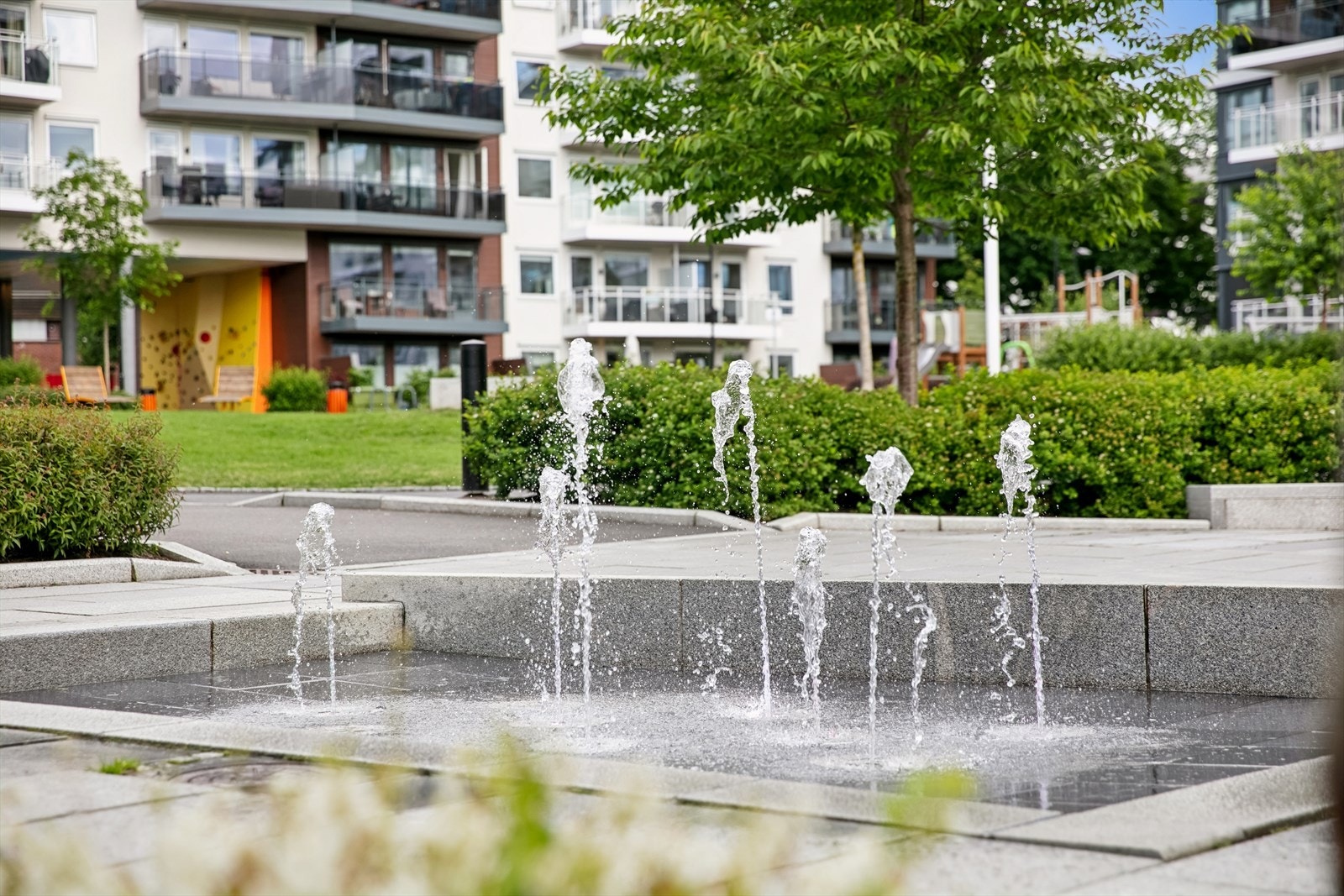Bakgården fungerer som en liten park for beboerne og er helt fri for biler. Galleribilde