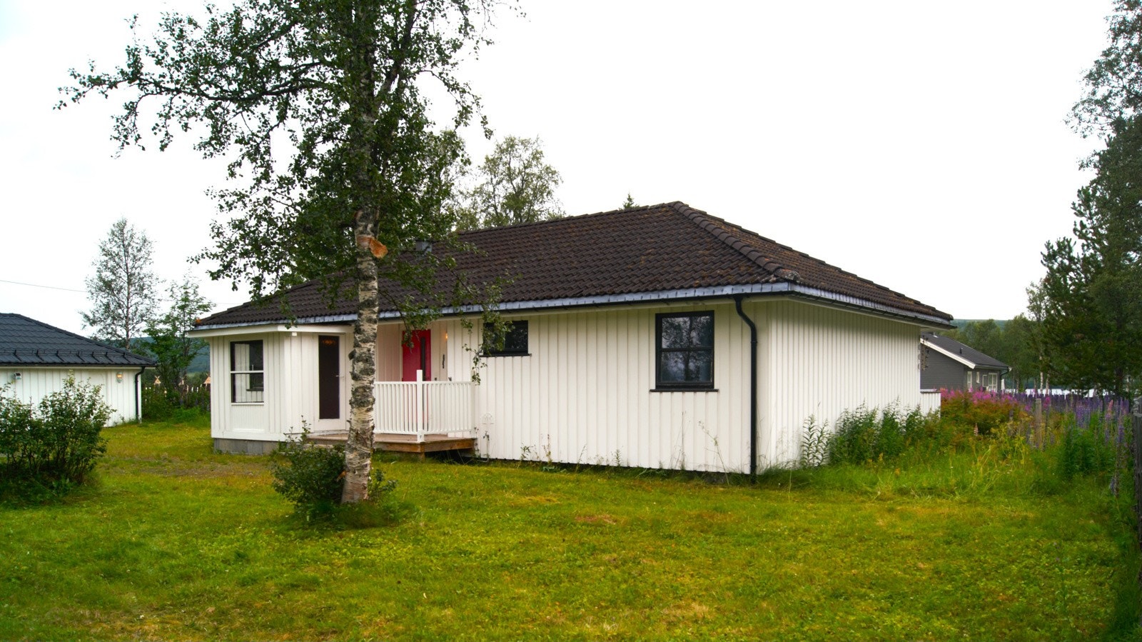 Selgers egne sommerbilder. Galleribilde