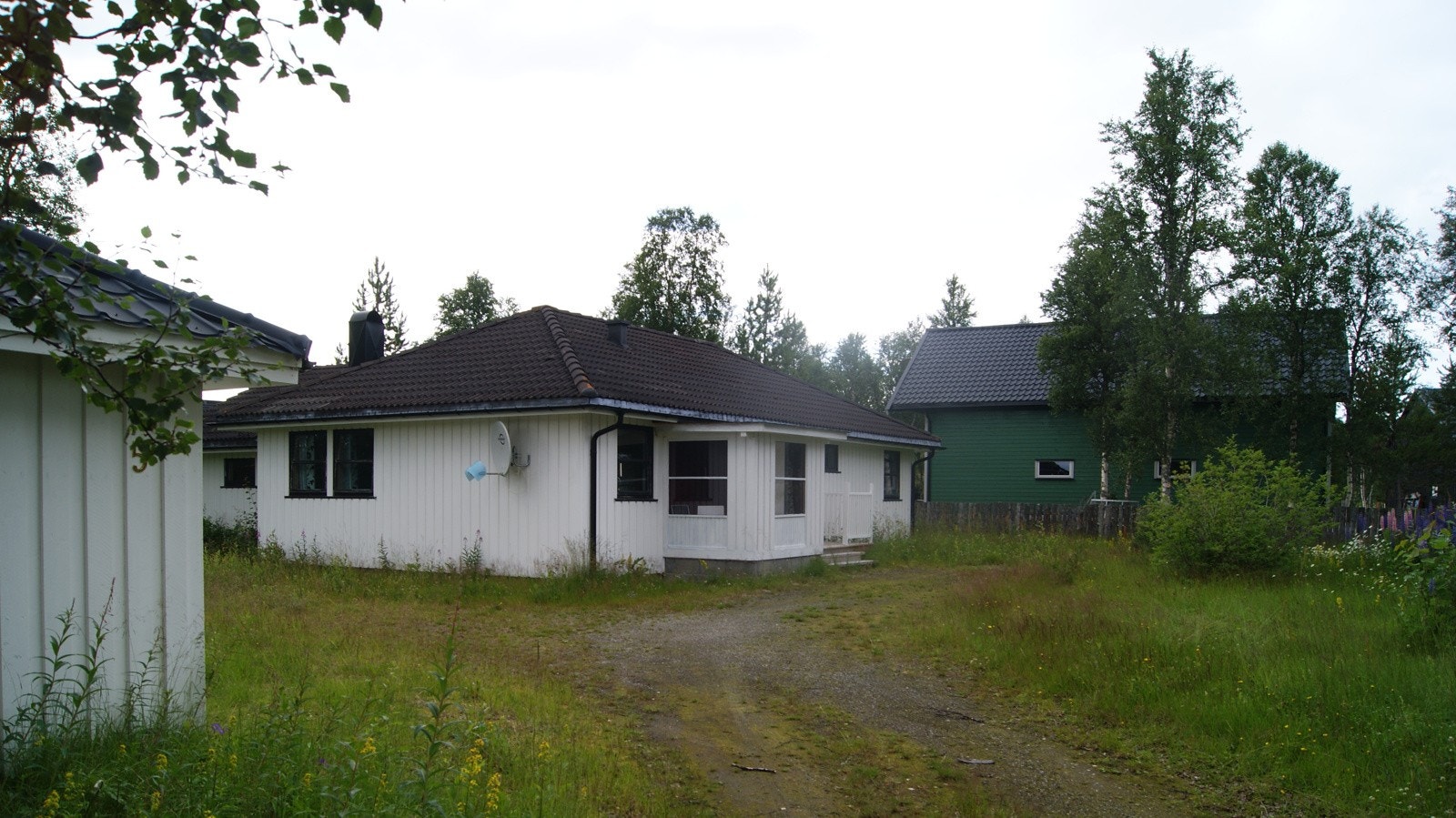 Selgers egne sommerbilder. Galleribilde