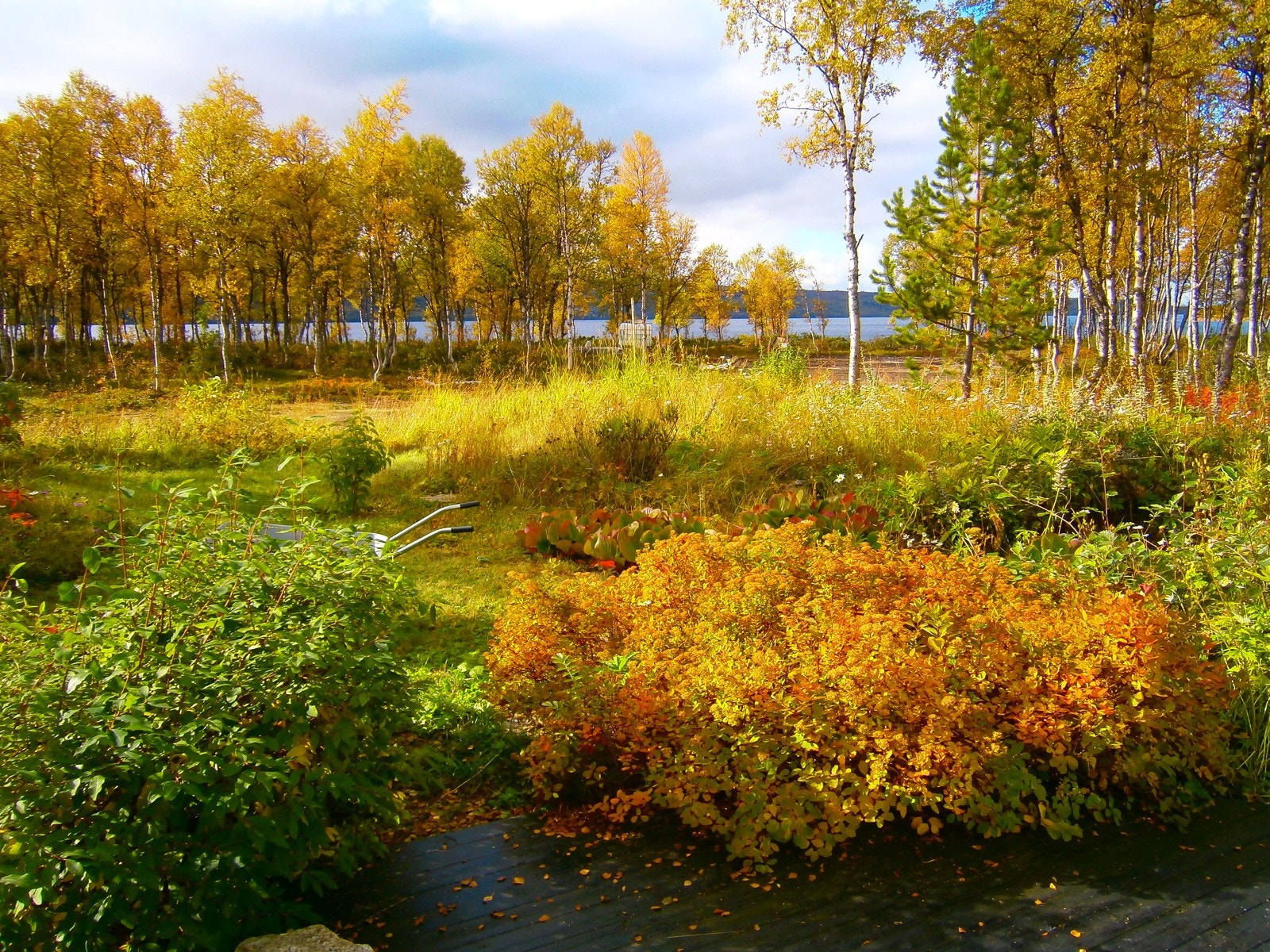 Selgers egne sommerbilder. Galleribilde