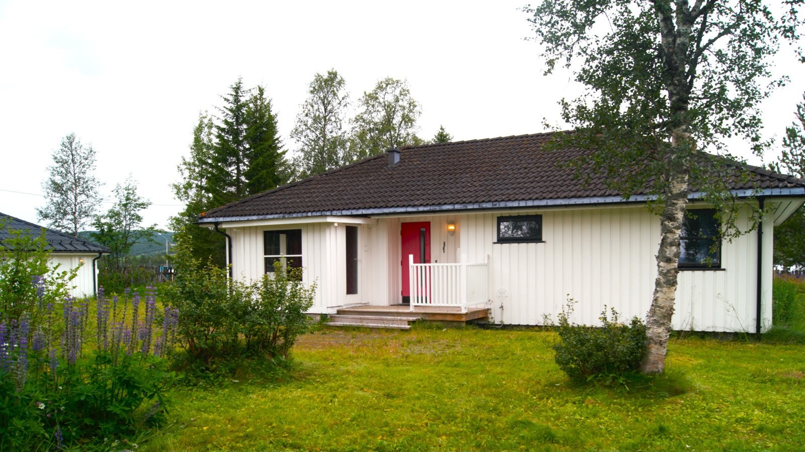 Selgers egne sommerbilder. Galleribilde