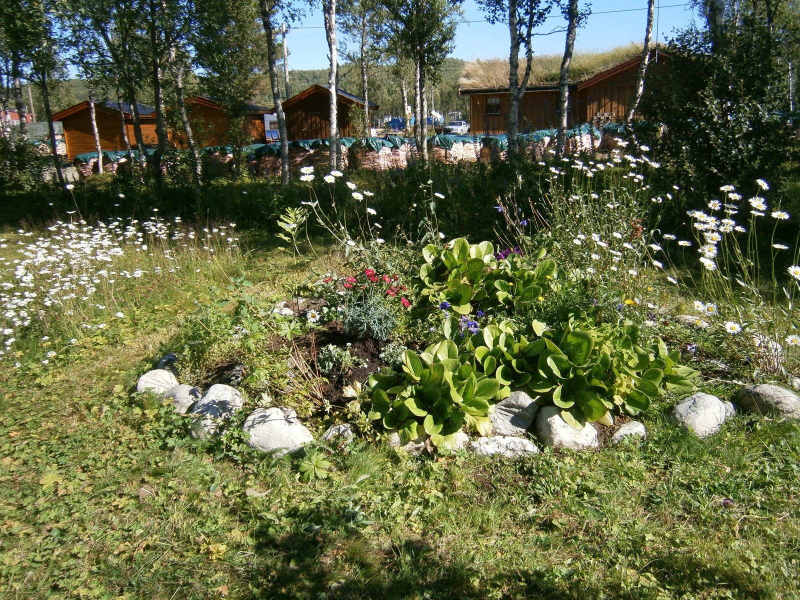 Selgers egne sommerbilder. Galleribilde