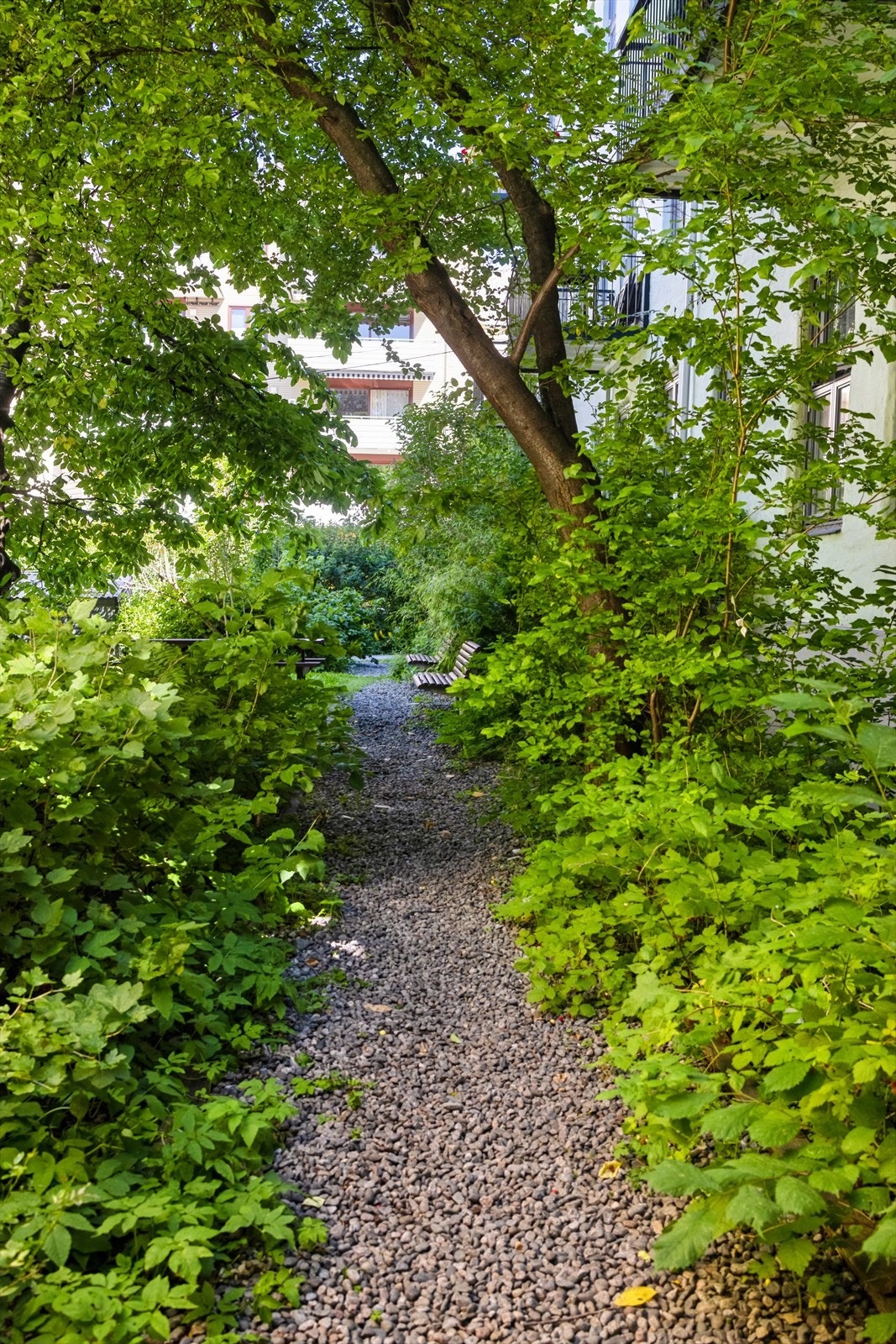 Svært hyggelige grøntområder i bakgården Galleribilde