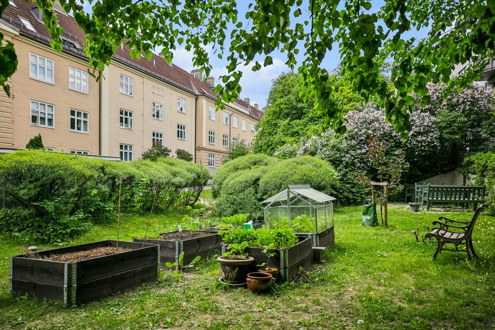 Bakgården er frodig og det er plantekasser man kan ta i bruk ved henvendelse til styret. Galleribilde
