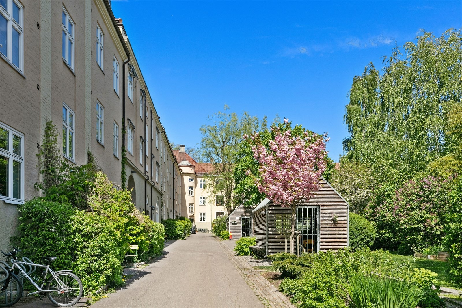 Frodig bakgård som er vakker til alle årstider. Galleribilde