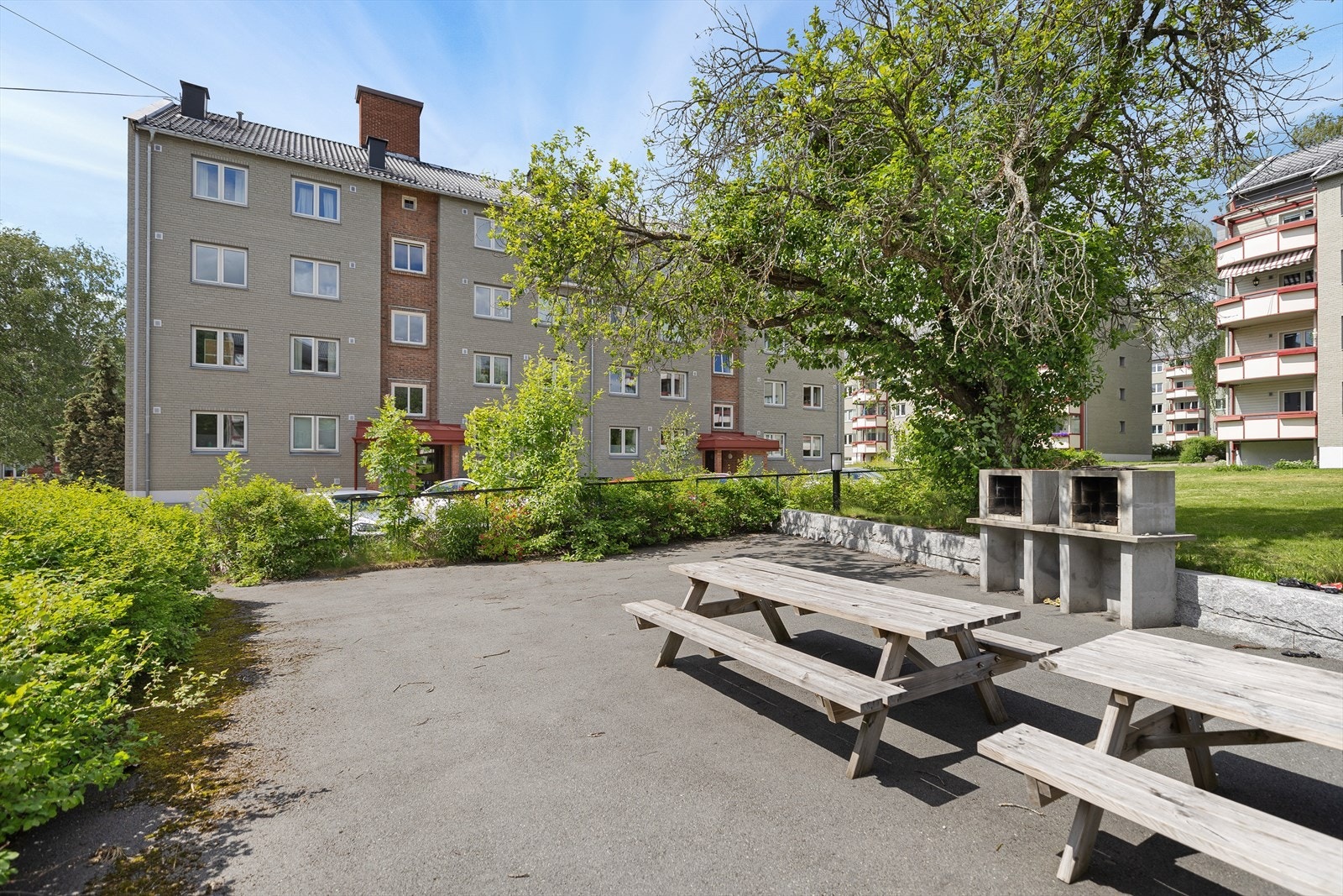 Trivelig fellesareal med utegriller og benker. Galleribilde