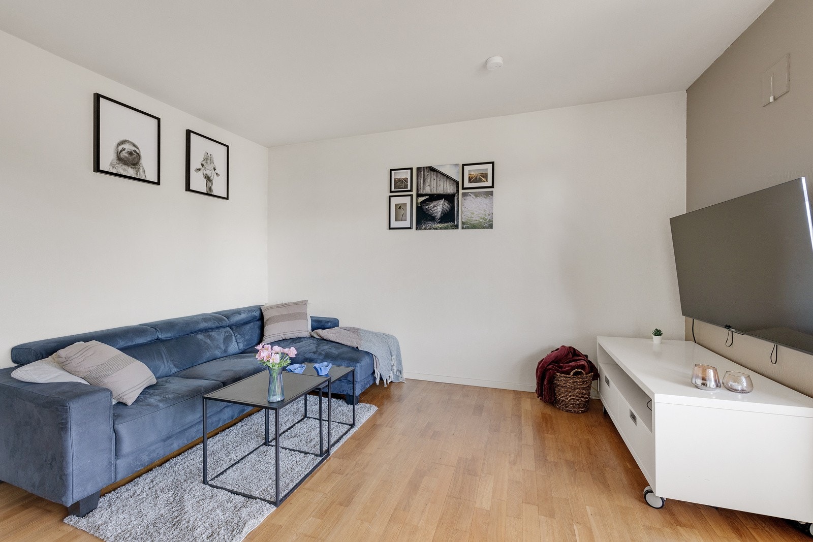 Her har du god plass til sofaløsning og tv-møblement. Basispakke med kabel-tv og internett er inkludert i felleskostnadene. Galleribilde