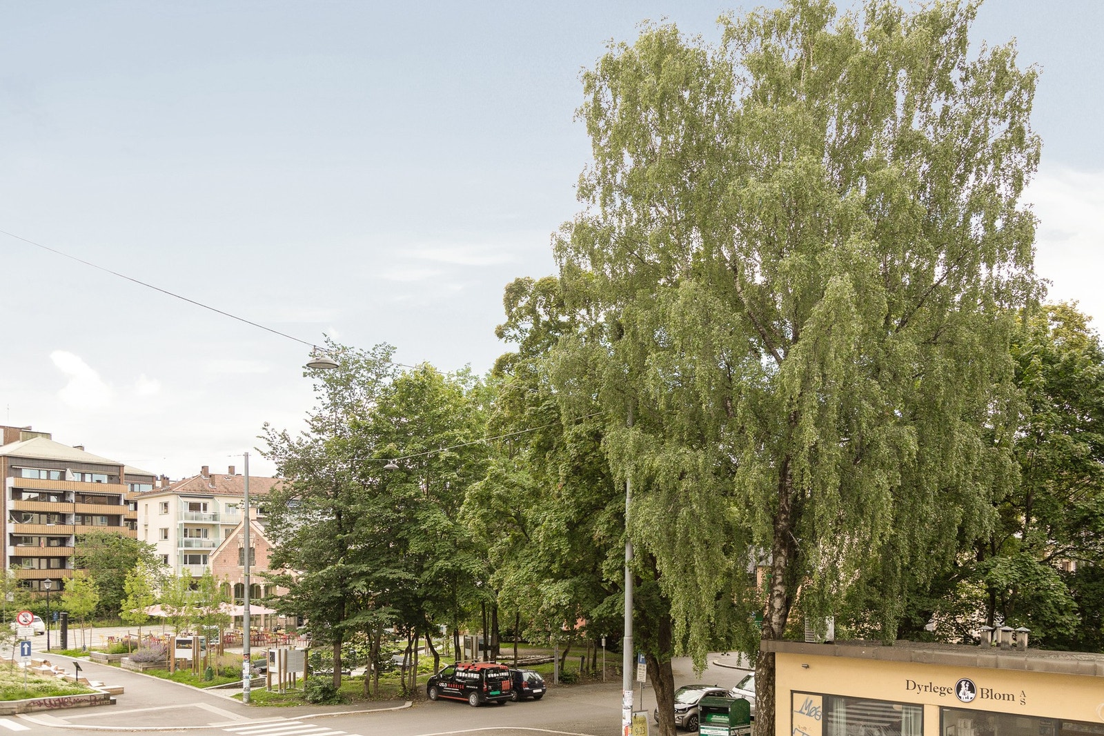Nydelig utsikt mot grøntområder og sjarmerende Torshovgata med de fleste servicetilbud. Galleribilde