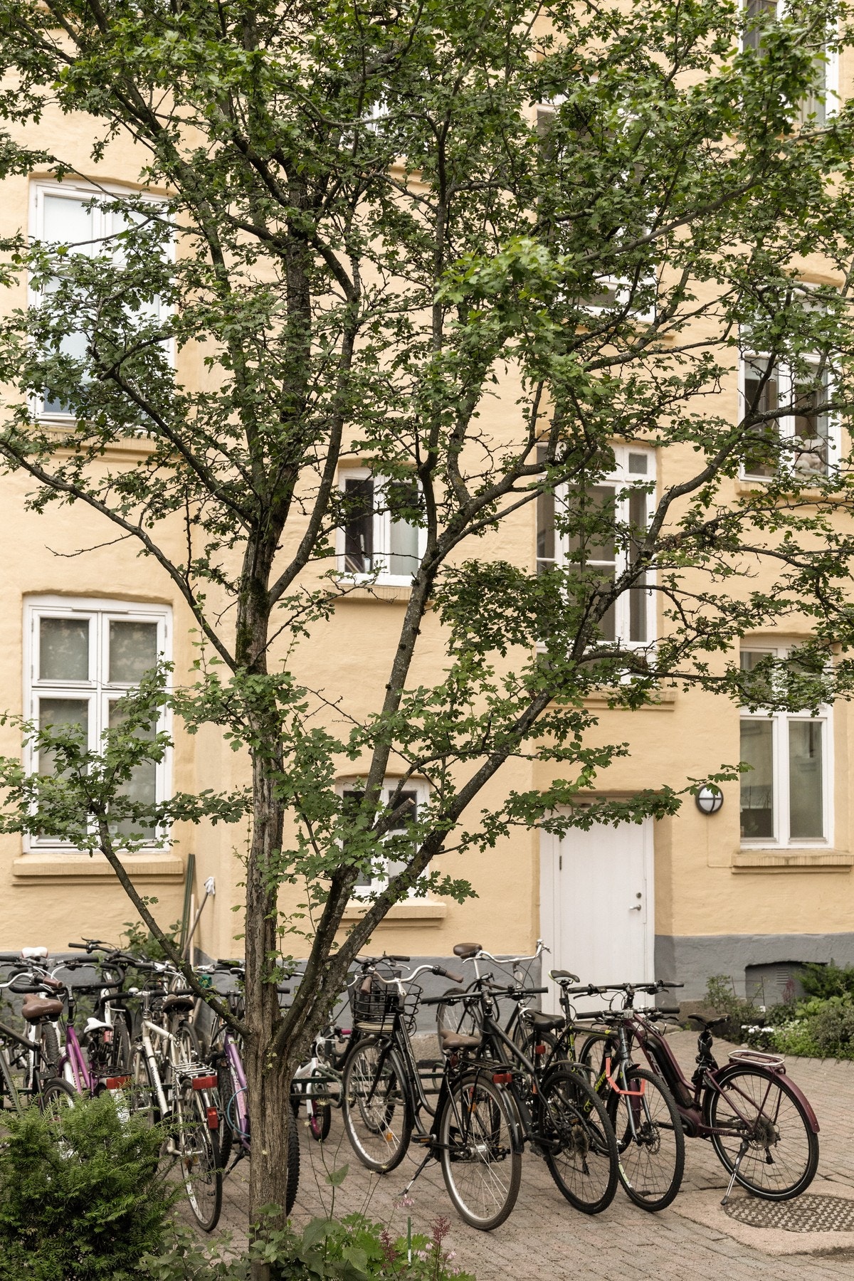 Felles sykkelstativer til fri bruk for beboerne. Gårdsrommet er avlåst. Galleribilde